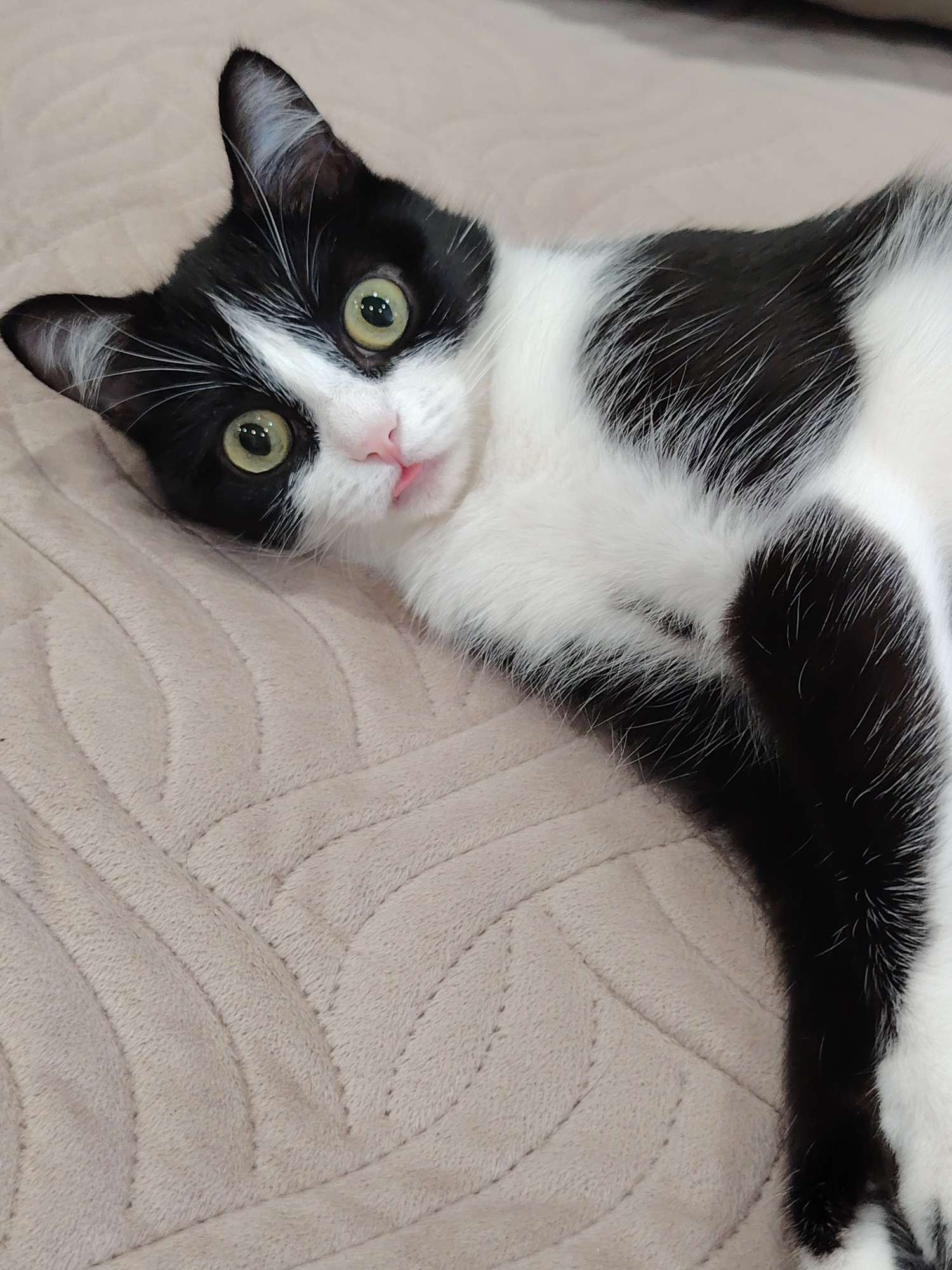 A black and white cat with bright green eyes lies on its back on a beige, textured blanket. The cat's head is tilted to its left, with its mouth slightly open, revealing a small pink tongue. Its fur is predominantly white on its chest, belly, and face, with black markings on its head, ears, and legs. The blanket has a subtle quilted pattern of curved lines. The overall lighting is soft, creating a cozy atmosphere.