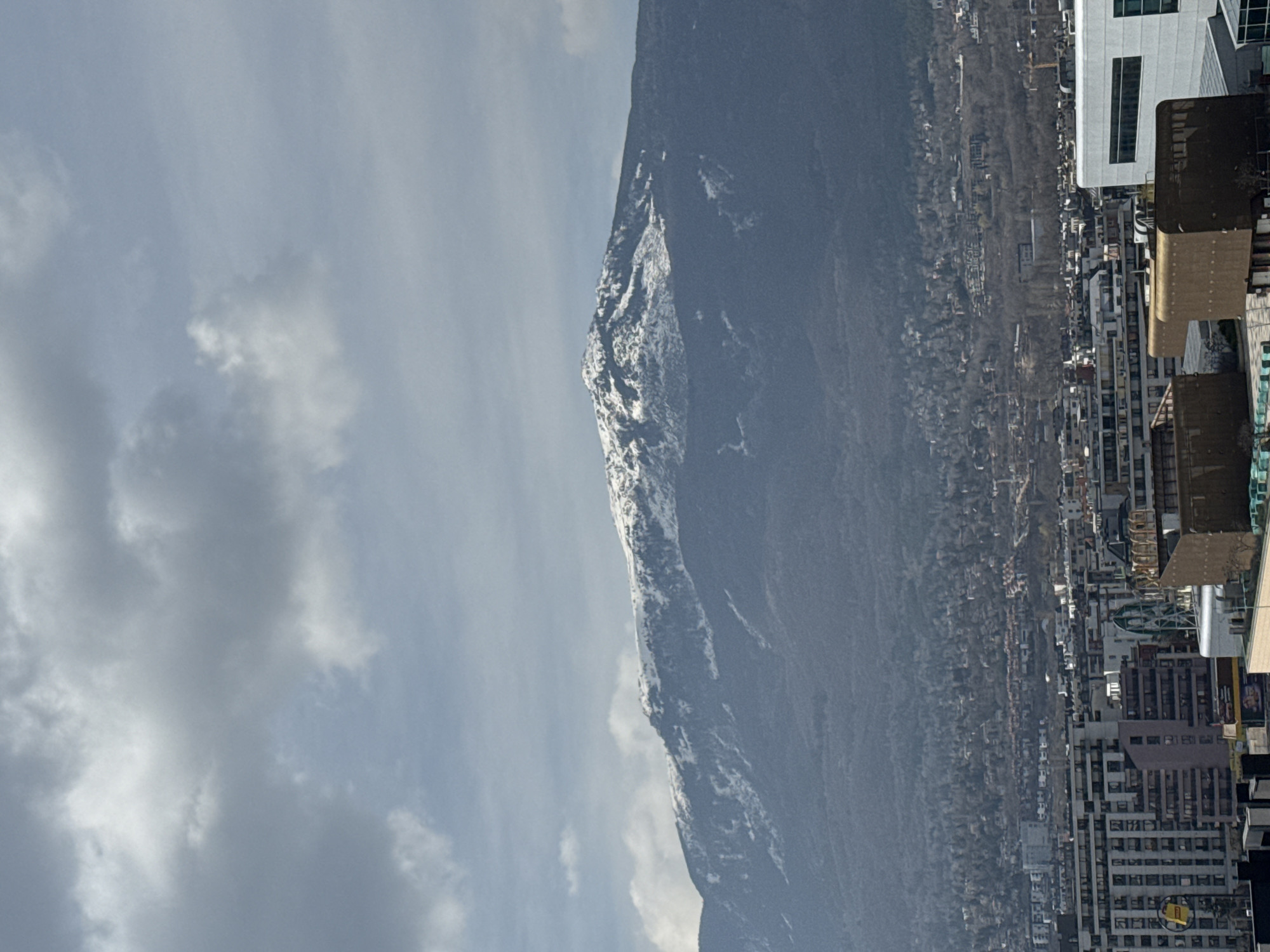 The image displays an elevated view of Sofia, Bulgaria, featuring Vitosha Mountain as the prominent background element. The mountain's upper slopes are covered in white snow, while its lower sections are densely forested with dark, bare trees. The sky above is largely overcast with a mixture of grey and lighter clouds. In the midground, the cityscape of Sofia unfolds, comprising numerous multi-story buildings, predominantly residential and commercial structures of various densities and architectural types. In the immediate foreground, from the point of capture, several building tops and architectural elements are visible. These include a multi-story building with numerous windows on the left, partially obscured by a yellow circular sign. Centrally, two large, dark brown or copper-toned structures with rounded upper profiles are prominent. A modern white building with dark rectangular windows is situated on the far right of the foreground. No human figures or active interactions are discernible.