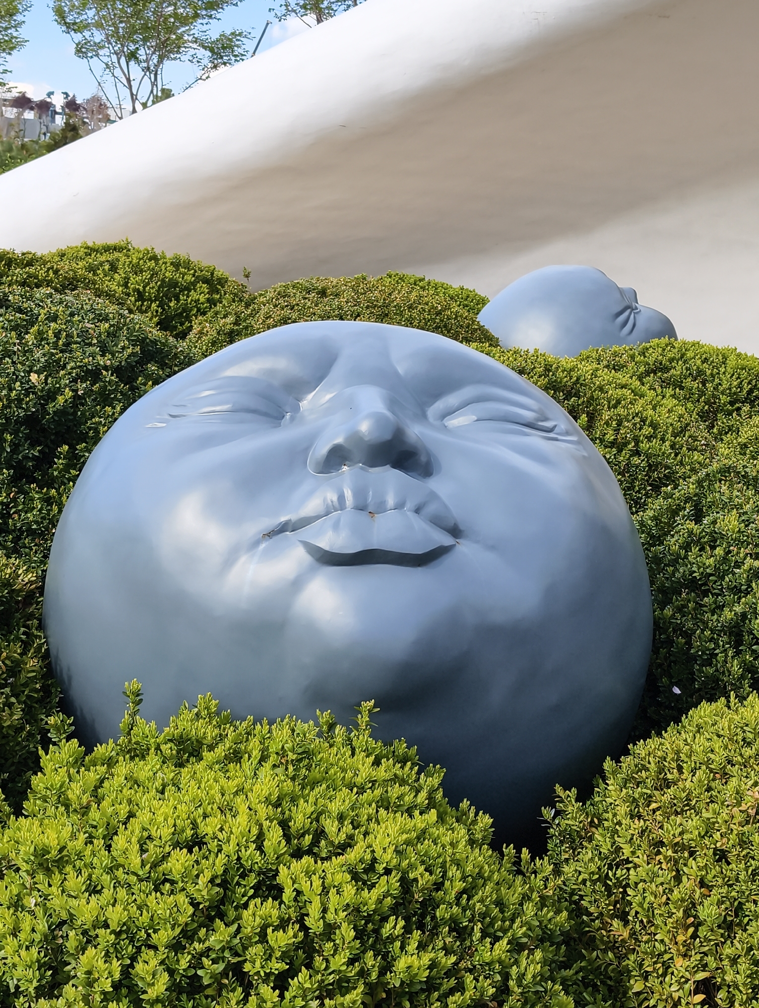 This vibrant image depicts an outdoor art installation featuring two large, light blue, spherical sculptures resembling human faces, emerging from lush green bushes. The prominent sculpture in the foreground is a large, smooth sphere with features of a face – closed eyes and slightly pursed lips – conveying an expression of serene slumber or peaceful contemplation. Its surface reflects the bright daylight. A second, smaller face sculpture is partially visible in the background, similarly nestled among the green foliage.
Behind the sculptures and bushes, a striking, smooth, off-white architectural structure with a curvilinear form dominates the upper background, suggesting a modern building or a carefully designed landscape element. The scene is illuminated by bright sunlight, indicative of clear, sunny weather. The light highlights the textures of the rich green bushes and the smooth surfaces of the sculptures and the building.
The overall setting appears to be a well-maintained public park or garden, likely within Krasnodar, Russia, where such contemporary art installations are found, particularly in Galitsky Park. There is no visible text in the image. The sculptures evoke a sense of calm and dreaminess, juxtaposed with the natural greenery and modern architecture.