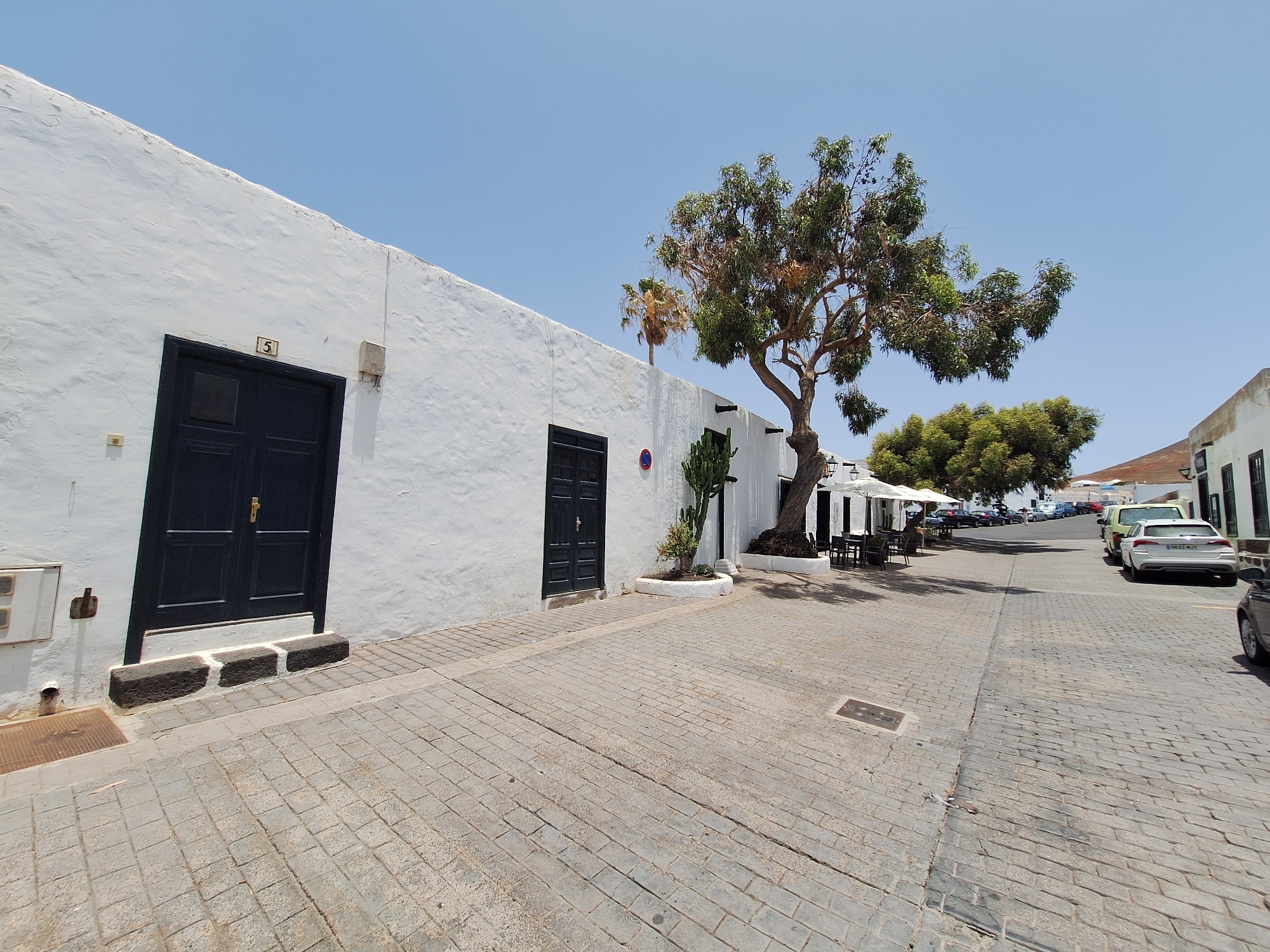 The image depicts a street scene in Teguise, Spain, under a clear blue sky. On the left, a whitewashed building with a textured facade features a dark double door, above which is a small sign with the number "5". Three dark-colored stone steps lead up to the door. The building continues to the right, with another dark double door visible. A large tree with sparse foliage stands near the corner of the building, casting shadows. In front of the building, a paved walkway with cobblestones transitions into a street.
The street is lined with more whitewashed buildings and shaded seating areas with umbrellas, suggesting a commercial area or a plaza. Several cars are parked along the right side of the street, including a white hatchback with license plate "0833 MJY". The architecture is characteristic of Canary Islands' style. The overall impression is a sunny, quiet day in a historic Spanish town.