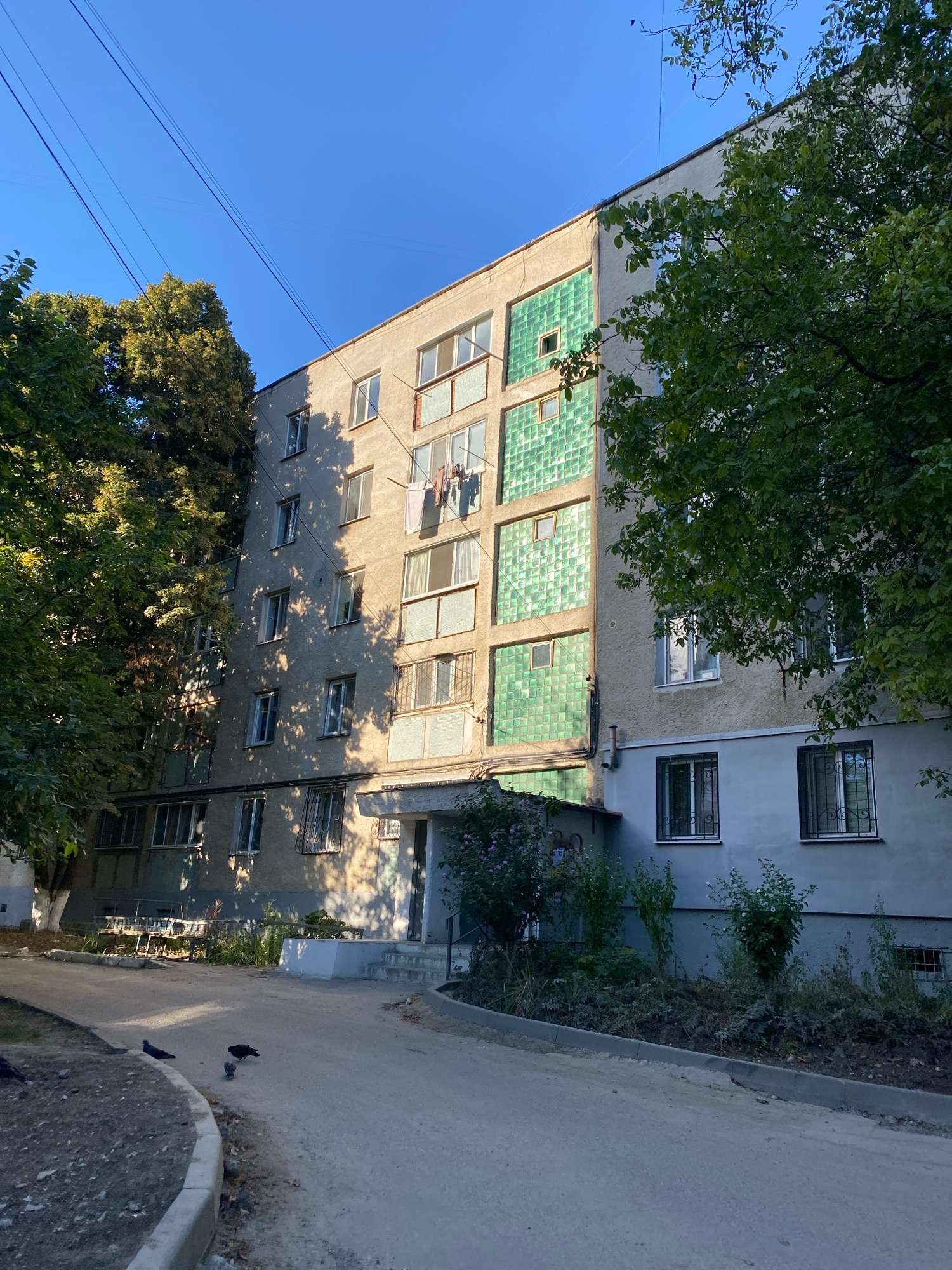 A five-story apartment building with a beige, textured facade is partially obscured by lush green trees. The building has a grid of windows, some with metal bars, and a section of the upper floors is covered in vibrant green square tiles. Laundry hangs from a clothesline on one of the balconies. The building is situated on a paved area with a curved curb and a patch of dirt. Several pigeons are visible on the ground. Overhead, power lines stretch across a clear blue sky. The scene appears to be a residential area in Chișinău, Moldova.