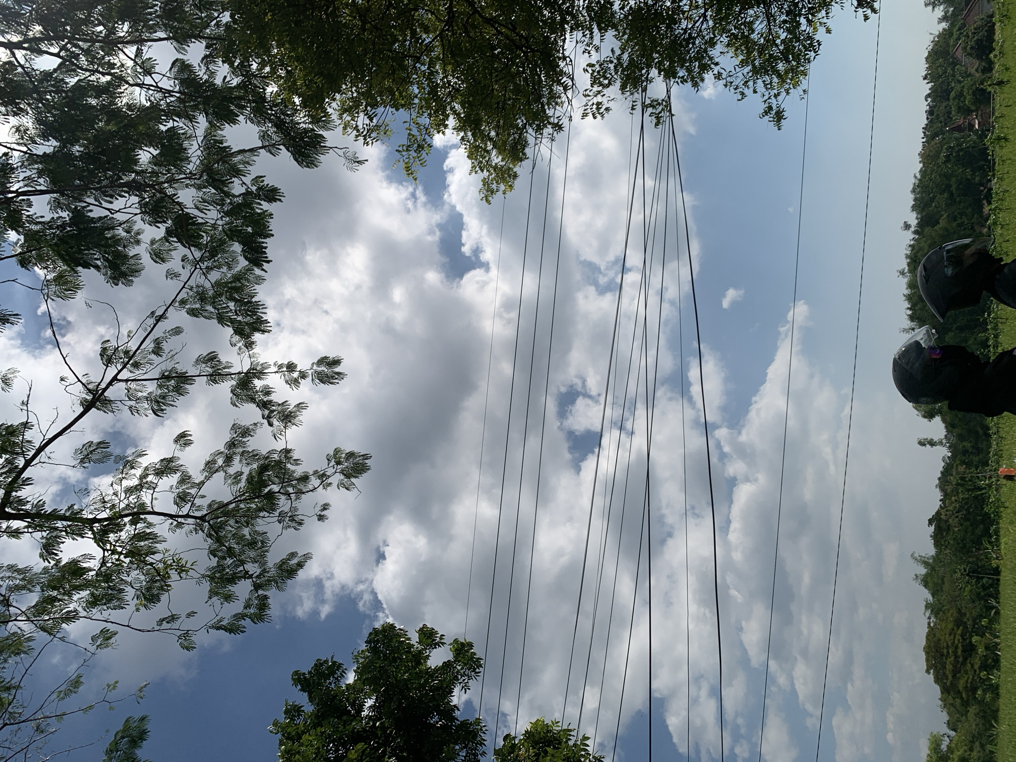 The image depicts a serene, outdoor scene, likely on a clear day, with a bright blue sky filled with fluffy white clouds. The foreground is dominated by the canopies of lush green trees, their leaves and branches creating a natural frame for the sky above. Several power lines are strung across the middle ground, parallel to the horizon, suggesting an inhabited or developed area. In the bottom right corner, two individuals are visible, both wearing dark helmets, indicating they are likely on motorcycles. They are positioned facing forward, observing the landscape. The background reveals a dense line of trees and vegetation, with glimpses of rooftops and structures, suggesting a rural or semi-rural setting on the outskirts of a settlement. The overall impression is one of a peaceful, sunny day, possibly in Jungke, Indonesia, judging by the vegetation and typical scenery.
