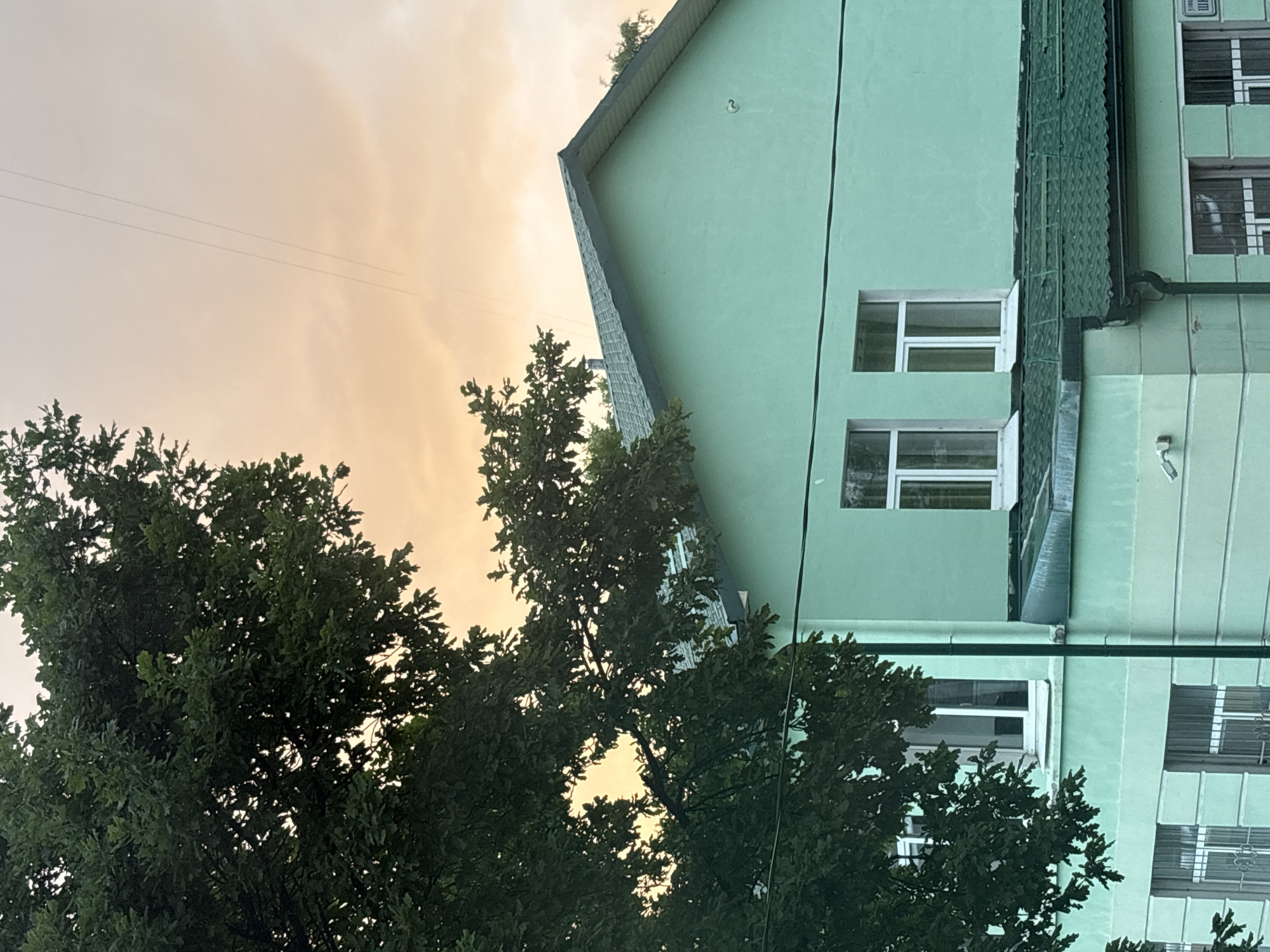 The image shows a view of a light green building with several windows, a green tiled roof, and a drainpipe. The building has a somewhat angular architectural style, with a prominent gable. In the foreground, there are large, dense green trees with visible leaves. The sky in the background is overcast with a warm, orange-yellow hue, suggesting either sunset or sunrise. Thin wires are visible stretching across the sky, and a power line runs vertically down the side of the building. There are no people or discernible activity taking place. The location is identified as Saint Petersburg, Russia. The image has a slight tilt, with the building appearing to be on the right and the trees on the left, and the sky above. There is a small, dark circular mark on the upper part of the building wall. No other text is clearly visible, though a small label might be present on one of the windows in the upper right corner, but it is unreadable. The overall impression is a quiet, outdoor scene with a focus on architecture and nature under a diffused sky.