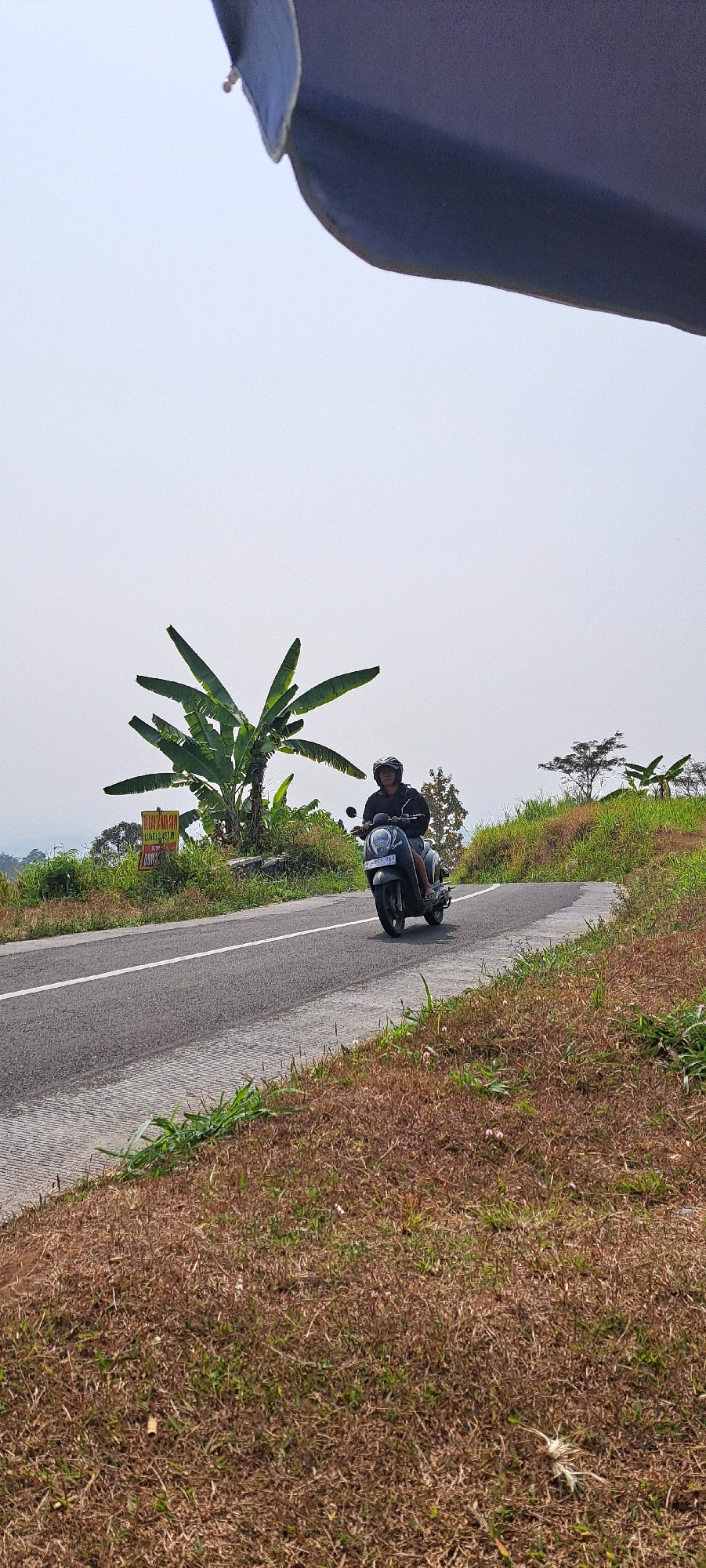 A person wearing a helmet and a dark jacket rides a dark-colored scooter on a paved road that curves to the right. The road has a white line dividing the lanes. On the left side of the road, there is a large banana tree and a yellow sign with red text. The surrounding area is covered in dry, brown grass, with some patches of green grass and small plants. In the background, there are rolling hills and a hazy sky. The scene appears to be a rural or semi-rural area, possibly in Sekarjoho, Indonesia, given the presence of banana trees and the general landscape.