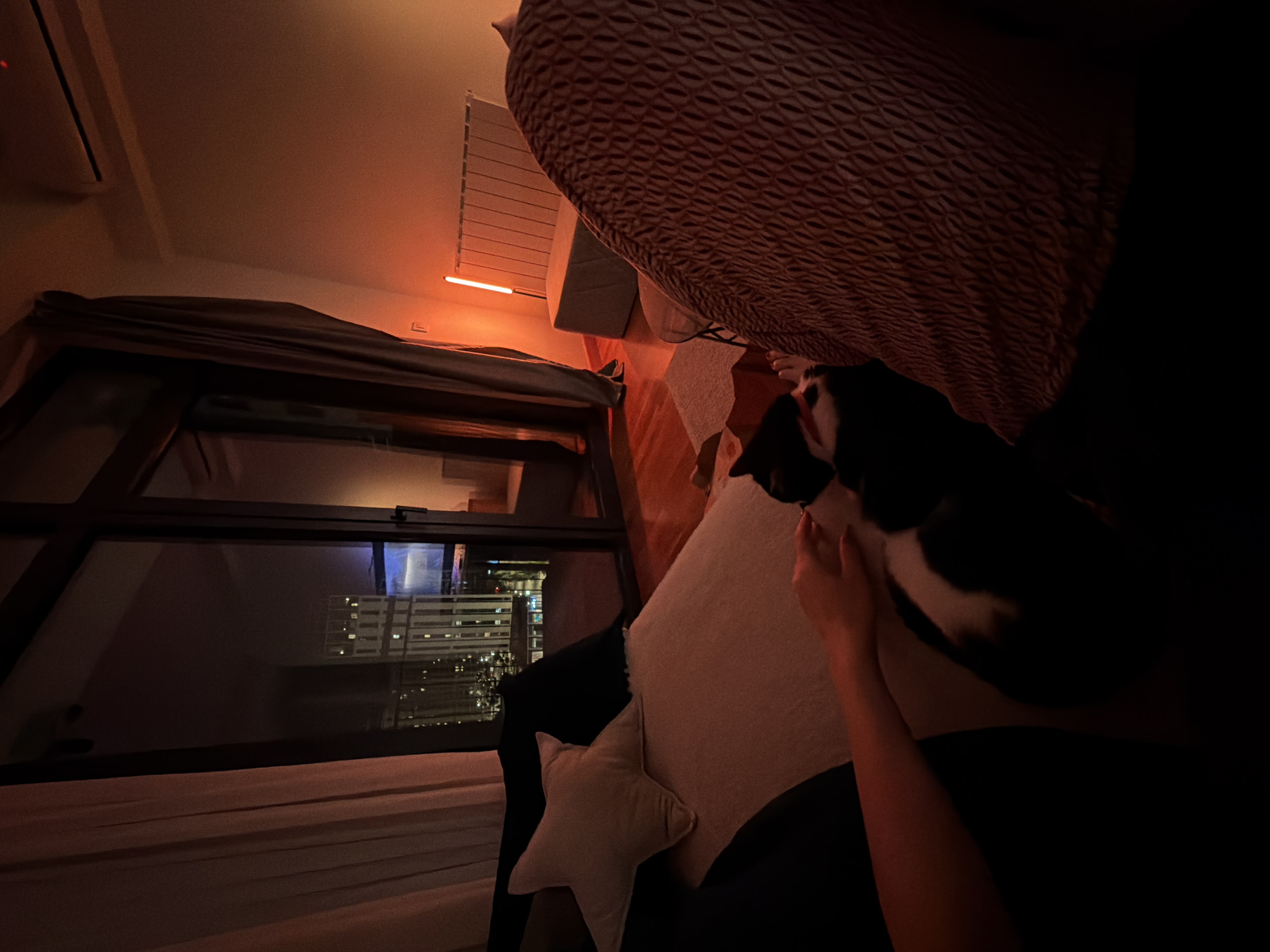 The image captures an intimate indoor scene at night, likely within an apartment in Belgrade, Serbia. The perspective is low, looking across a bed or couch towards a large window. The room is bathed in a warm, reddish-orange glow, suggesting ambient lighting from a linear fixture mounted on the ceiling or wall, partially visible on the right.
In the foreground, a person's arm and hand are visible on the right, gently interacting with a black and white cat. The cat lies relaxed on a soft surface, possibly a pillow or blanket. A decorative star-shaped pillow is also visible nearby. The bed or couch is covered with a textured, patterned duvet in a reddish-brown hue.
Through the expansive window, a nocturnal city skyline unfolds, illuminated by numerous lights from high-rise buildings, indicating an urban environment. Reflections of the indoor lighting are visible on the window's surface. An air conditioning unit is mounted high on the left wall. The overall atmosphere is one of peaceful relaxation and domestic comfort. No visible text is present in the image.