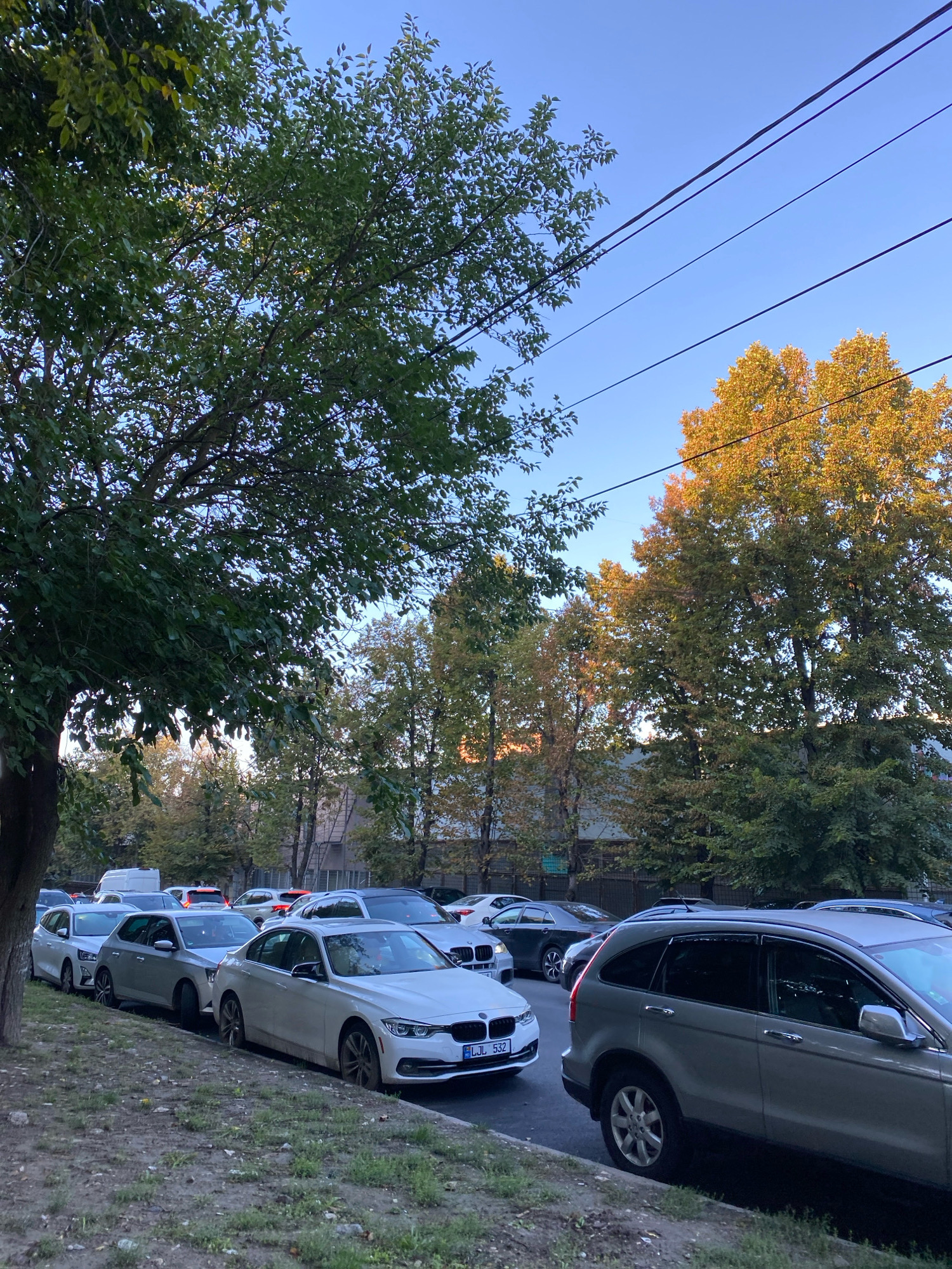 A street in Chișinău, Moldova, is depicted, featuring a row of parked cars lining the right side of the road. The cars are diverse in make and model, with several appearing to be sedans and SUVs. In the foreground, a grey SUV is parked, followed by a white sedan. Behind them, more vehicles are visible, including a white hatchback and a black sedan. The street is flanked by a grassy verge and trees, some of which are exhibiting autumnal colors, suggesting the season. Overhead, power lines are strung across a clear blue sky. In the background, buildings are partially visible through the foliage. No people are present in the frame.