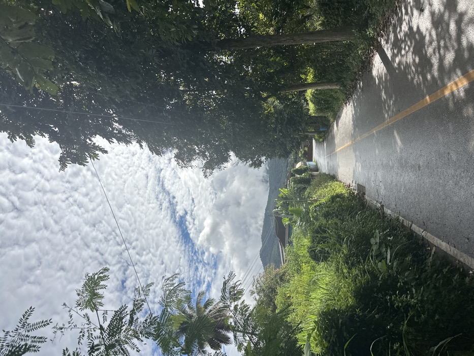 A narrow road stretches through a lush, green environment. The road surface appears wet, possibly from recent rain, and is marked with a yellow line. Trees form a canopy overhead, casting shadows on the pavement. Below, there's dense vegetation on either side. The sky is filled with clouds, some forming a distinctive line that gives the image depth. In the distance, a mountain adds to the scenic view.