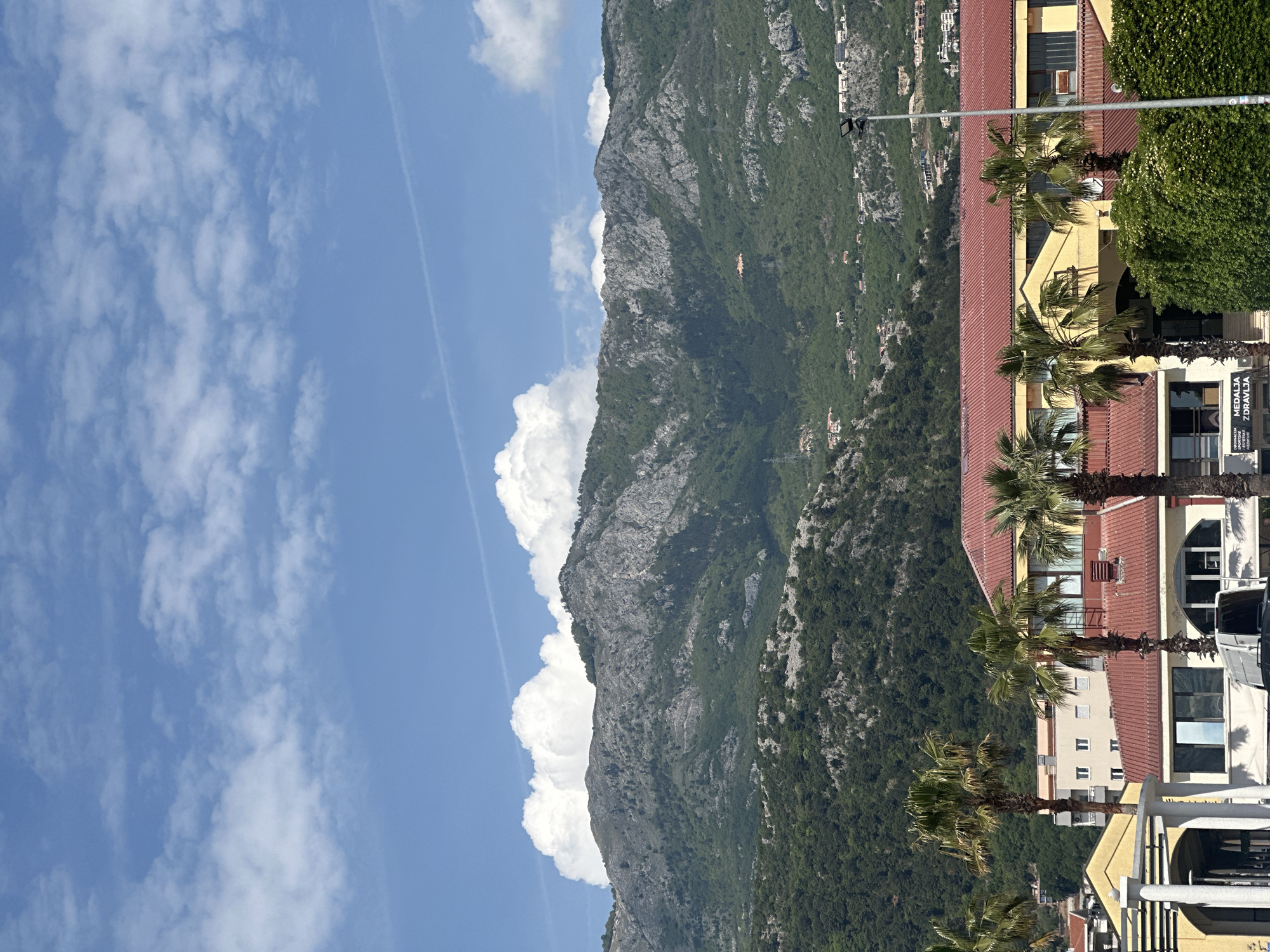 This daytime image portrays a scenic view of Budva, Montenegro, blending urban architecture with a dramatic mountain landscape under a bright sky.
In the foreground, several buildings with warm-toned, light yellow and off-white facades stand prominently, topped with reddish-brown tiled roofs. Mature palm trees with green fronds are interspersed around these buildings, adding a tropical element. Lush green bushes and trees are also visible near the structures. A white van or car is partially parked on the street level. A legible sign on one building, partially obscured by a palm tree, displays the text "MEDALJA ZDRAVLJA," with "ORDINAČIJA FIZIKALN..." (likely "ORDINAČIJA FIZIKALNE TERAPIJE" - physical therapy practice) and the names "Dr. Nikola..." and "Dr. Radmila..." also visible, indicating a medical or therapy office.
Dominating the midground and background is a large, rugged mountain range, characterized by substantial grey rock faces contrasting with dense patches of dark green vegetation and trees. Scattered small residential structures can be seen on the lower and mid-slopes of the mountain, suggesting human habitation extending into the natural terrain.
The sky above is a clear, vibrant blue, dotted with scattered, fluffy white cumulus clouds. A long, thin white contrail from an aircraft stretches diagonally across the upper portion of the sky. The overall lighting suggests a bright, sunny day.