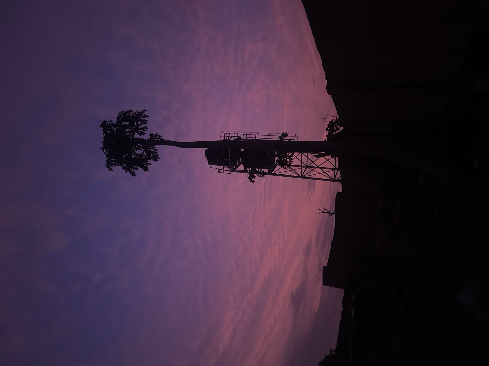A low-angle, landscape-oriented photograph displays the silhouette of a tree and a water tower against a backdrop of a pink and purple sky. The tree, situated on the left, has sparse foliage and a slender trunk that appears to grow through the structure of the water tower. The water tower is comprised of a tank supported by a framework of cross-braced metal. To the right of the tower, the silhouette of a building or structure is visible, casting a dark shadow that dominates the right side of the frame. The sky is layered with striated clouds, providing a textured backdrop to the scene. The location is Gura Top, Nigeria, based on the provided context.