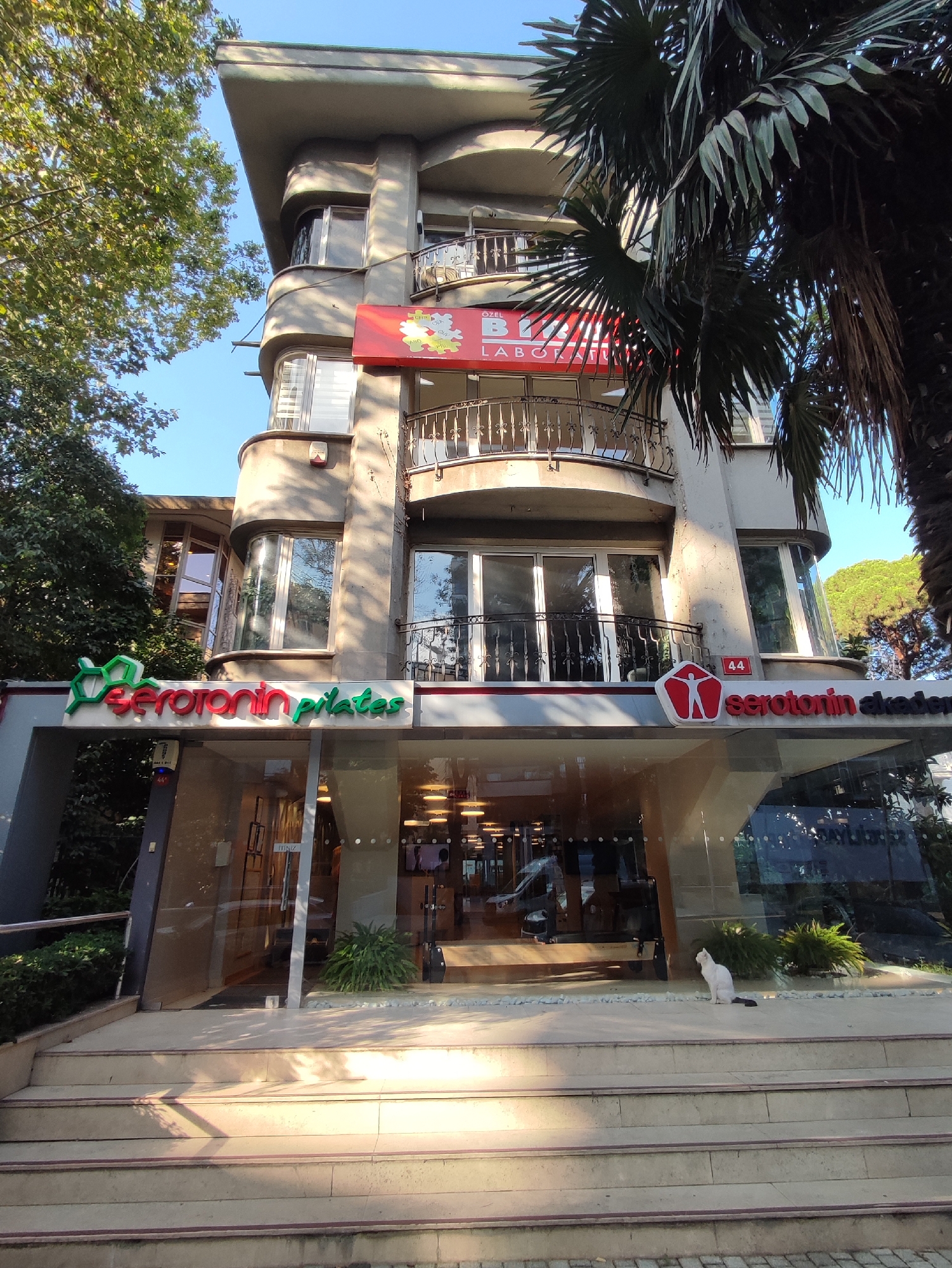 The image shows a modern building with multiple stories, featuring a curved facade and balconies. On the facade, there are signs for "Özel BU Laboratuvar" and "Serotonin Pilates." A palm tree partially obscures the right side of the building. A white cat is sitting on the steps in front of the building. The building appears to be located on a street in Kadıköy, Turkey, indicated by the signage "Serotonin Pilates" and "Serotonin Akademi" which are commonly found in the region. The sun is casting shadows on the steps, suggesting it is daytime. The overall scene depicts a commercial establishment, possibly a health and wellness center, in an urban setting.