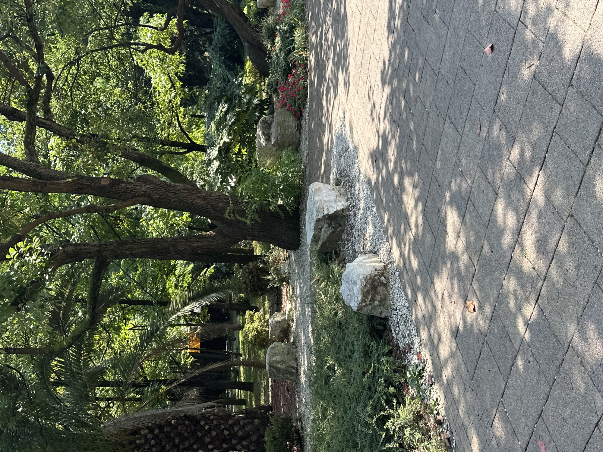 This is a wide shot of a park pathway in Sochi, Russia. The pathway is made of grey interlocking brick pavers, with dappled sunlight and tree shadows falling across it. To the left of the pathway is a garden bed with low green bushes and several large, light-colored rocks scattered amongst them. Beyond the garden bed, a large palm tree is visible on the far left. In the background, lush green trees and foliage create a dense forest canopy, with some sunlight filtering through. There are no people visible in the image.