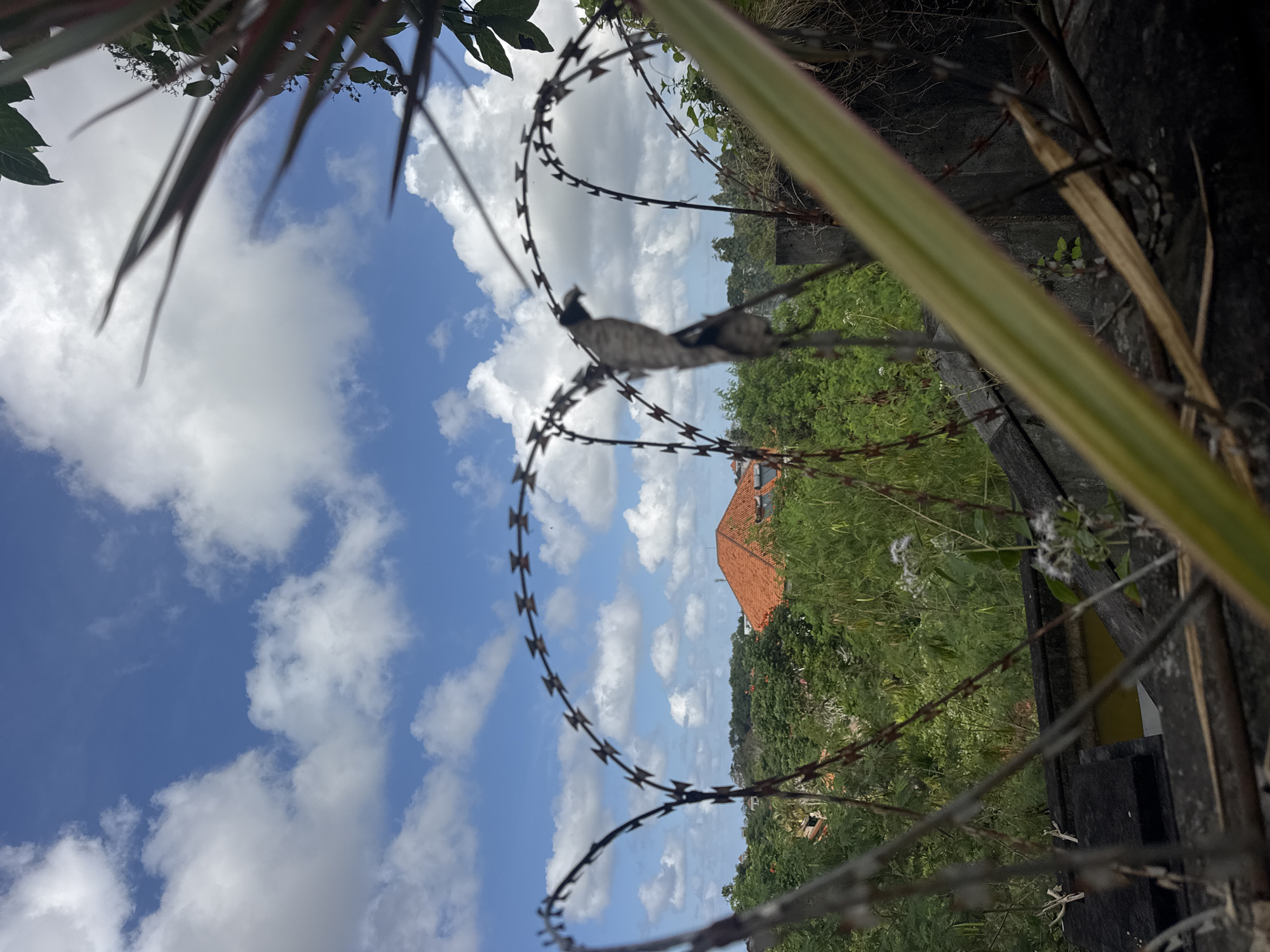 The image shows a view through a barbed wire fence towards a residential area with lush green trees and a building with an orange tiled roof under a bright blue sky with scattered white clouds. In the foreground, the barbed wire is prominent, with a dried leaf caught on it. The environment suggests a tropical or subtropical climate. The specific location in Kuta Selatan, Indonesia is suggested by the architectural style of the roof and the dense tropical vegetation. No people are visible in the image. The scene depicts a common urban or suburban landscape, possibly bordering a more natural or undeveloped area.