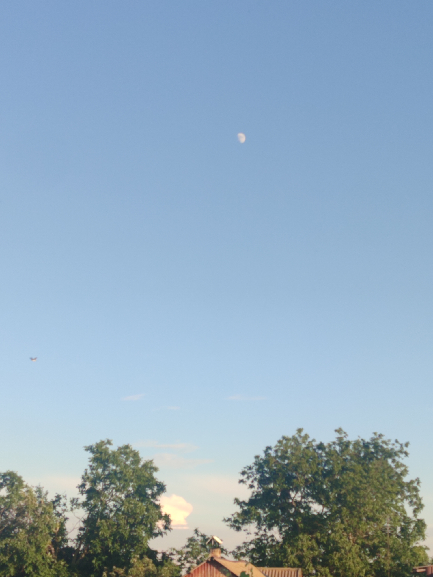 The image displays a clear blue sky with a crescent moon visible in the upper right quadrant. A small, distant airplane is captured in the left side of the frame. The lower portion of the image features the tops of several leafy green trees and a glimpse of a building with a reddish roof, suggesting a rural or suburban setting. The lighting indicates it is daytime, likely late afternoon or early evening due to the presence of the moon.