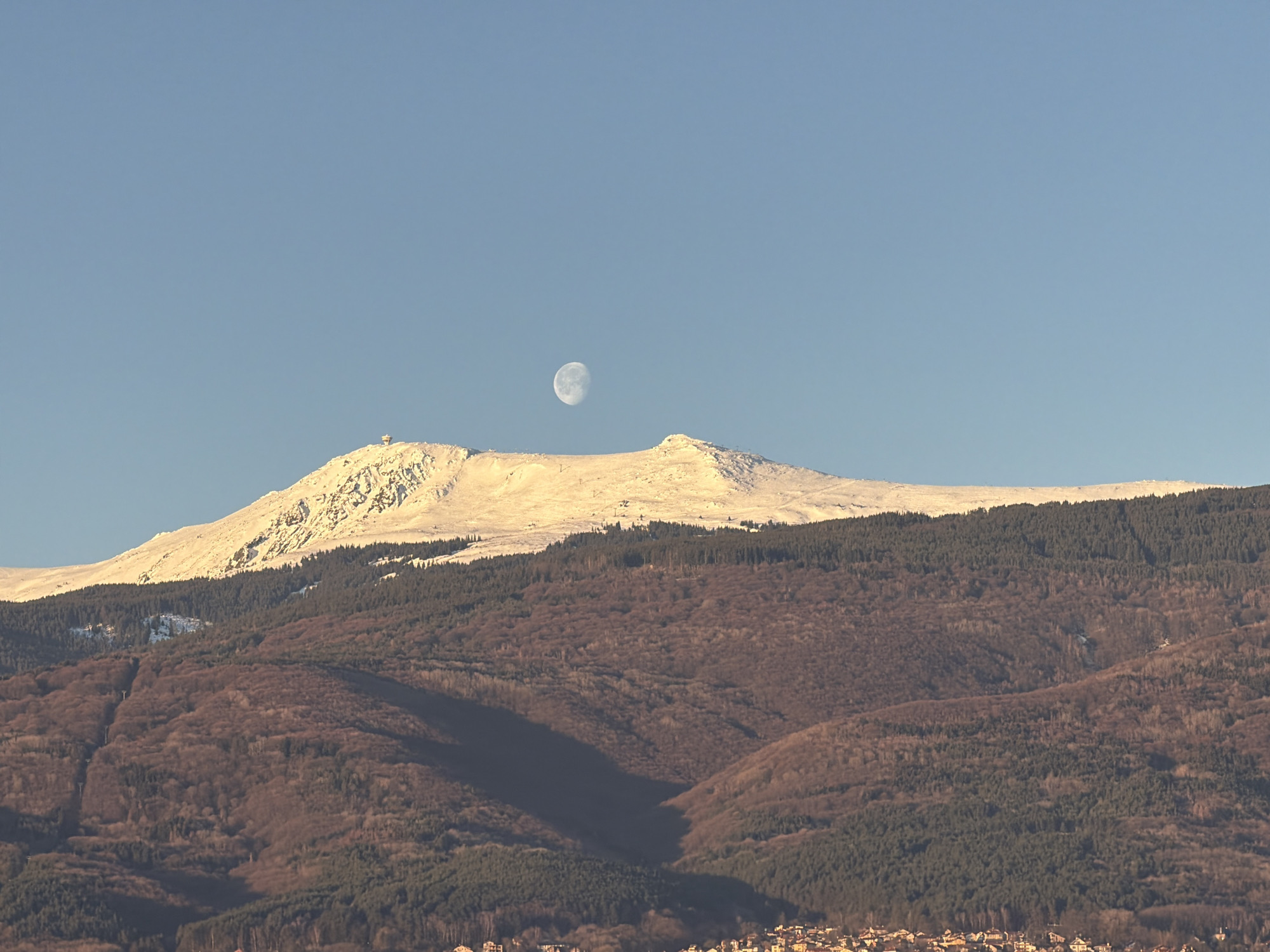The image shows a landscape featuring a snow-covered mountain range against a clear, pale blue sky. A full moon is visible above the peaks. The mountain has some buildings or structures on the left-most and right-most peaks. The lower slopes of the mountain are covered in a dense forest, displaying a mix of brown and green hues. Below the forest, there is a hint of a town or a settlement. The scene likely captures a view of Vitosha Mountain, a landmark near Sofia, Bulgaria, given the characteristic shape and the presence of structures on the peaks.