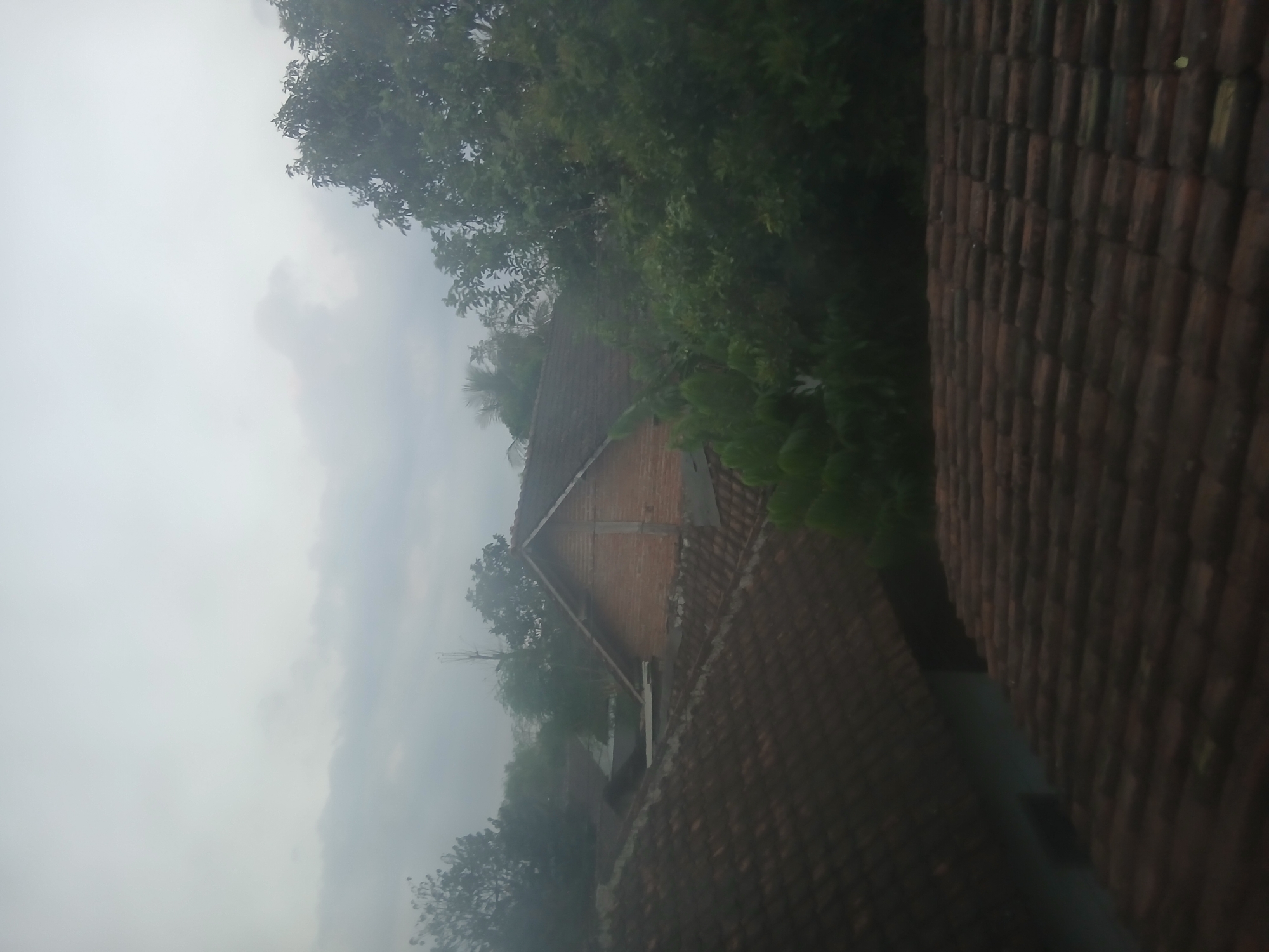 The image depicts a view from a rooftop in Kademangan Kulon, Indonesia, under a hazy, overcast sky. In the foreground, several tiled rooftops are visible, appearing weathered and dark brown. Beyond these, a building constructed of brick is prominent, with a pitched, tiled roof. Dense green foliage, consisting of various trees and bushes, surrounds the buildings, partially obscuring them and contributing to the muted, atmospheric lighting. The overall scene suggests a residential area in a tropical climate, possibly experiencing a foggy or rainy morning. There are no people visible in the image.