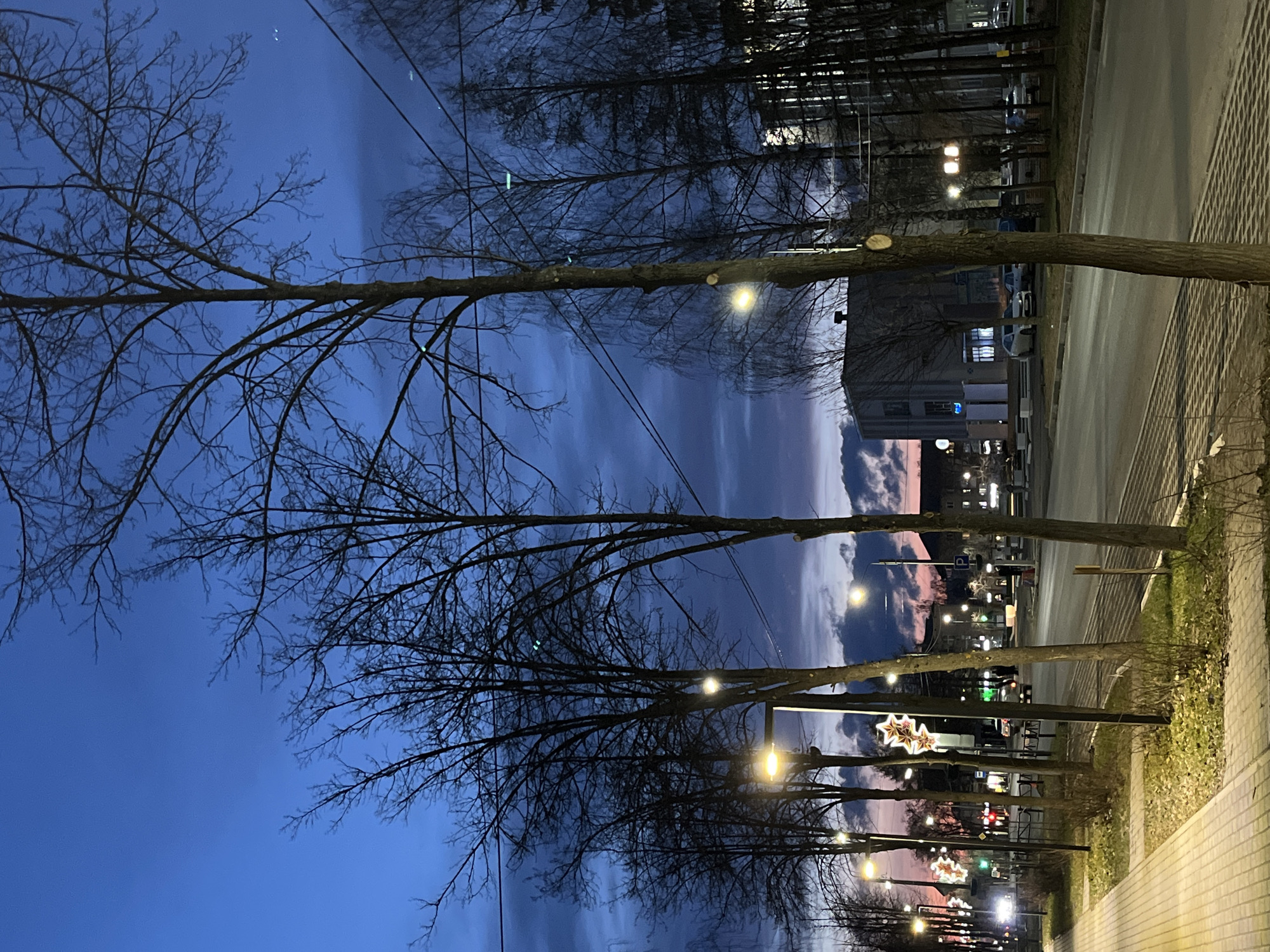 This image depicts an urban street scene in Chaikovsky, Russia, captured during the "blue hour" or early evening. The sky is a prominent feature, showcasing a deep indigo blue that gradients to a lighter tone, with soft pink and orange clouds visible on the horizon, suggesting the afterglow of sunset.
The scene is dominated by numerous bare deciduous trees, their intricate, leafless branches silhouetted against the sky and casting shadows on the ground. Some trees exhibit clear cut marks on their branches, indicating recent pruning. These trees line both sides of a paved street, which runs alongside a light-colored brick sidewalk visible on the right.
Artificial illumination is abundant, with warm-toned streetlights casting bright glows. Various building lights are visible in the background, along with the headlights and taillights of distant cars, some of which appear parked. Notably, several decorative, star-shaped lights, likely festive holiday decorations, are strung along the street, adding a cheerful element to the cool evening atmosphere. Utility lines or power cables are faintly visible crisscrossing the upper portion of the sky.
No individuals are clearly visible in the frame. The overall mood is quiet and tranquil, characteristic of a city winding down for the night. A white "P" sign, indicating parking, is discernible in the distant background.