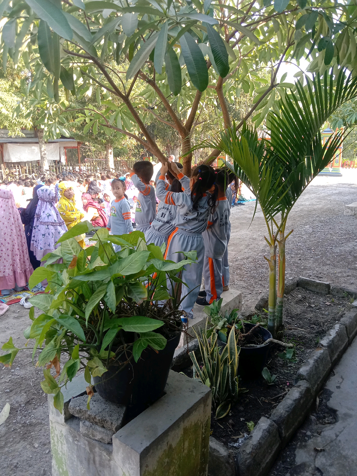 In Tanjungsari, Indonesia, a group of young children in grey and orange uniforms stand near trees and potted plants. Some of the children are facing away from the camera, while others are looking towards the left. In the background, a larger gathering of people, some in traditional attire, are visible, along with a collection of bicycles. The scene appears to be outdoors, with a paved ground surface and natural foliage.