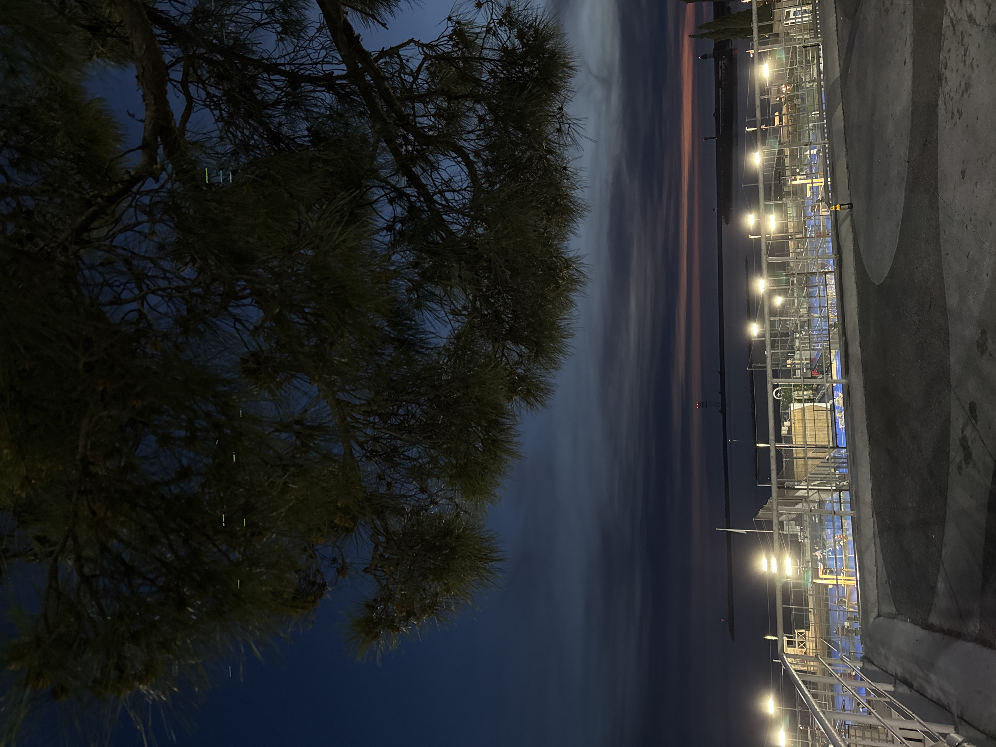 The image depicts an outdoor scene captured at dusk or night, with the camera oriented vertically. A large, dark conifer tree, likely a pine, dominates the left side, its dense branches and needles silhouetted against the fading light of the sky.
On the right, a brightly illuminated outdoor sports complex is visible, featuring multiple courts, possibly for padel or tennis, identifiable by their blue surfaces and surrounding fences. Numerous artificial lights cast a glow over the facility. The immediate foreground on the right shows a paved area or path.
Behind the sports complex, a calm body of water extends towards the horizon, where faint streaks of orange and pink light from the setting sun transition into a dark blue-grey sky. Distant land or structures with small, indistinct lights can be vaguely perceived along the far horizon.
The time of day is clearly dusk or night, indicated by the dark sky, the prominent artificial lighting of the facility, and the last hues of sunset. The weather appears clear. No specific human activity is discernible, but the lit courts suggest the area is prepared for evening sports. A small, indistinct 'X' mark is faintly visible on a structure within the sports facility. The overall atmosphere is quiet and serene, characteristic of a late evening.