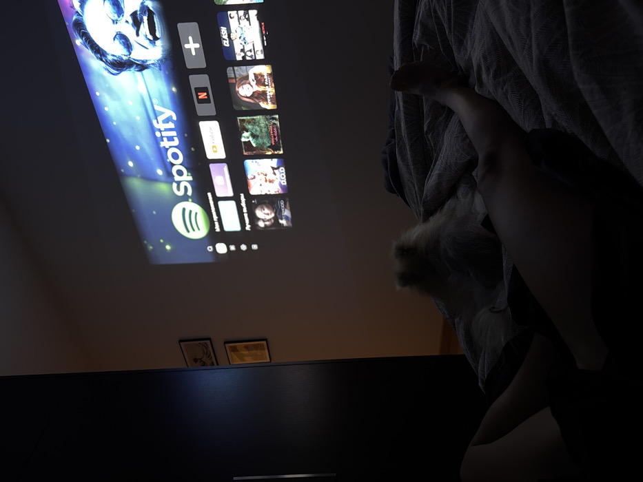 A projector displays a screen featuring Spotify, Netflix, and YouTube logos, illuminating a dark room. A person's leg and foot are visible on a bed covered with a textured blanket. A small, fluffy white dog rests on the bed near the person. Below the projection, two framed pictures sit atop a dark, wide cabinet or dresser. The scene is dimly lit, casting shadows and creating a cozy atmosphere.