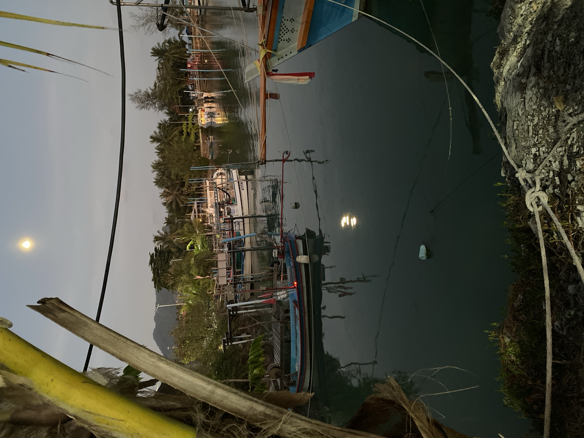 The image captures a tranquil twilight or dawn scene of a waterway in Baan Tai, Thailand, filled with moored boats. The sky, a soft, light grey, hosts a bright crescent moon visible in the upper left quadrant.
In the foreground, broad tropical leaves, likely from banana or palm trees, partially frame the bottom left. A dark cable or power line stretches horizontally across the upper part of the frame. To the right, a rocky bank shows ropes tied, leading down to the water. The calm, dark water beautifully reflects artificial lights from the distant shore, creating shimmering streaks, and a white buoy or bottle floats in the mid-ground.
Several traditional longtail boats are moored along the opposite shore. One prominent boat features a blue hull with intricate white patterns and red accents on its bow. Other boats, mostly white, are lined up along a wooden dock-like structure. Distant lights from the shore illuminate the boats and surrounding foliage. A dense line of palm trees and other tropical vegetation dominates the distant shoreline, with mountains silhouetted against the sky in the far background.
The scene is devoid of people and there is no visible text. The overall atmosphere is one of serene peace, characteristic of a tropical coastal or riverside community at the transition between day and night.