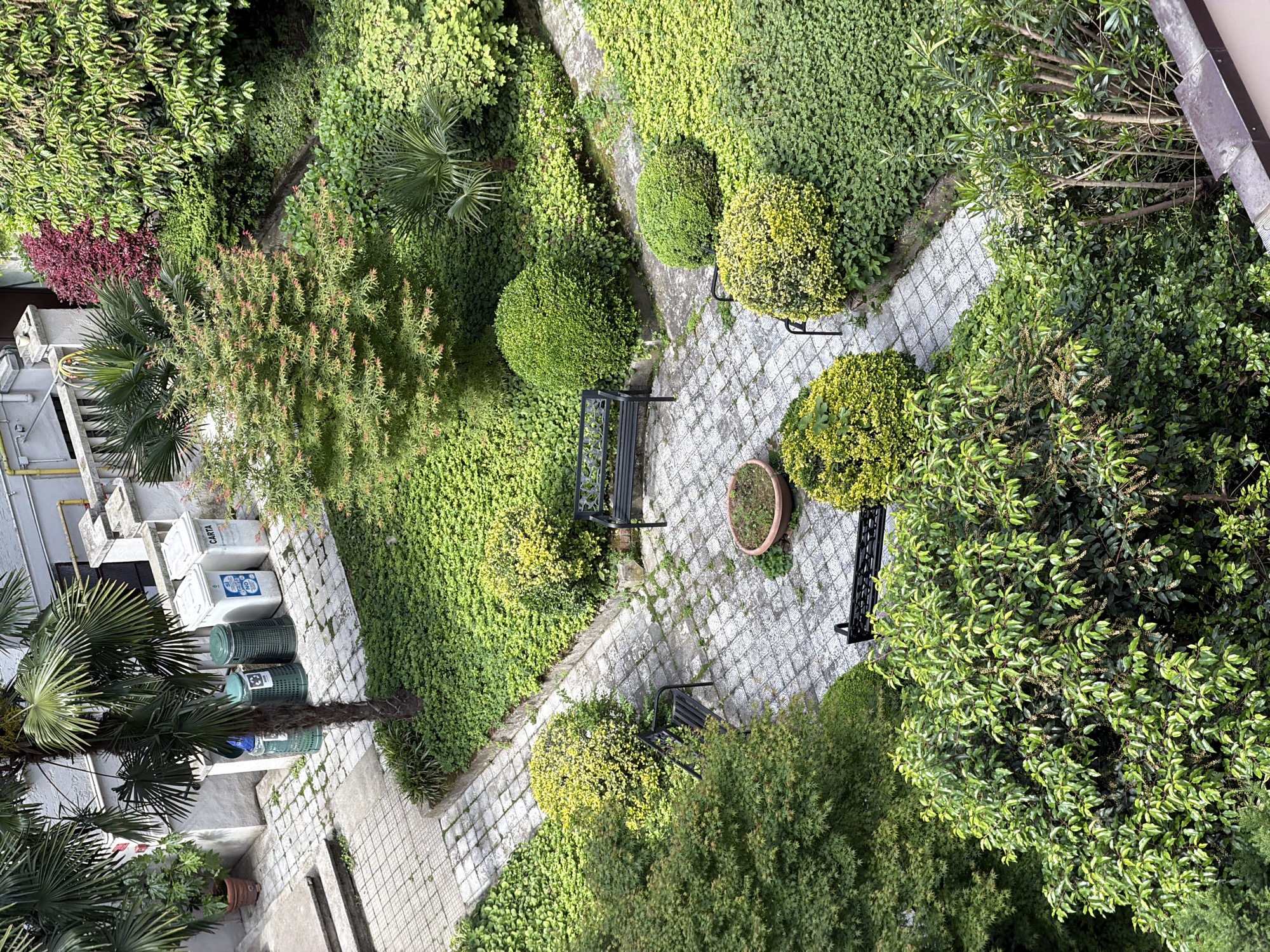 The image is an overhead shot of a small, enclosed garden or courtyard, likely located in an urban area, potentially in Milan, Italy. The courtyard features a paved path made of gray interlocking stones, which winds through the space. Along the path are several black metal benches placed near trimmed bushes.
The garden is heavily vegetated, with a variety of green plants and bushes. The vegetation includes ground cover, hedges, and some trees, giving the area a lush appearance. To the left, several recycling bins are visible. A portion of a building can be seen on the left side. The image is taken from an elevated position. There are no people visible in the image.