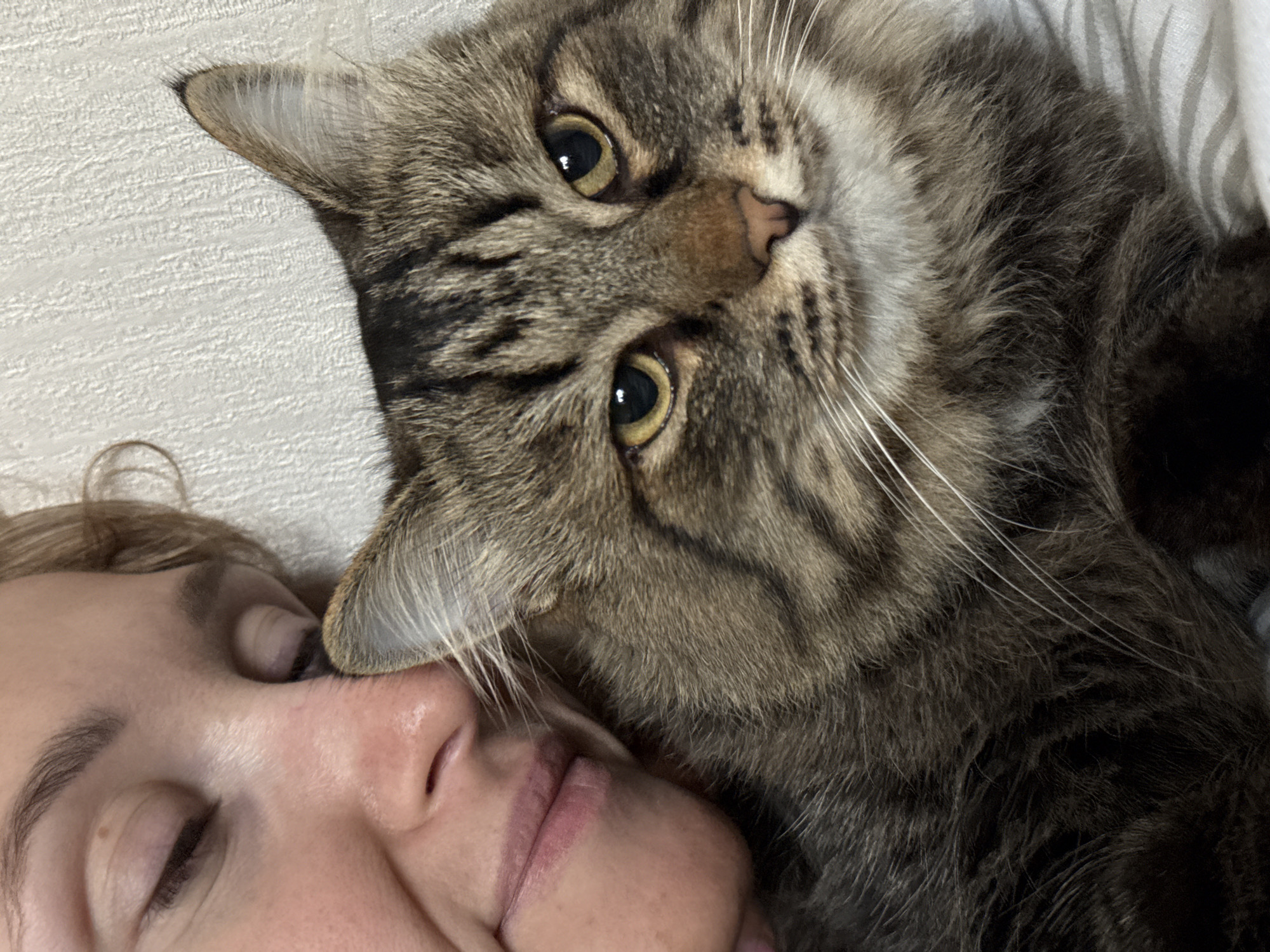 A close-up image shows a woman lying down with a brown tabby cat on top of her. The woman's face is partially visible; her eyes are closed, and her cheek and lips are visible. The cat's face is prominently featured, with its yellow-green eyes looking towards the camera. The cat's ear is close to the woman's forehead. The cat is lying partly on a textured surface, possibly a blanket or bedding. The location is unknown, and there is no indication of Perm, Russia.