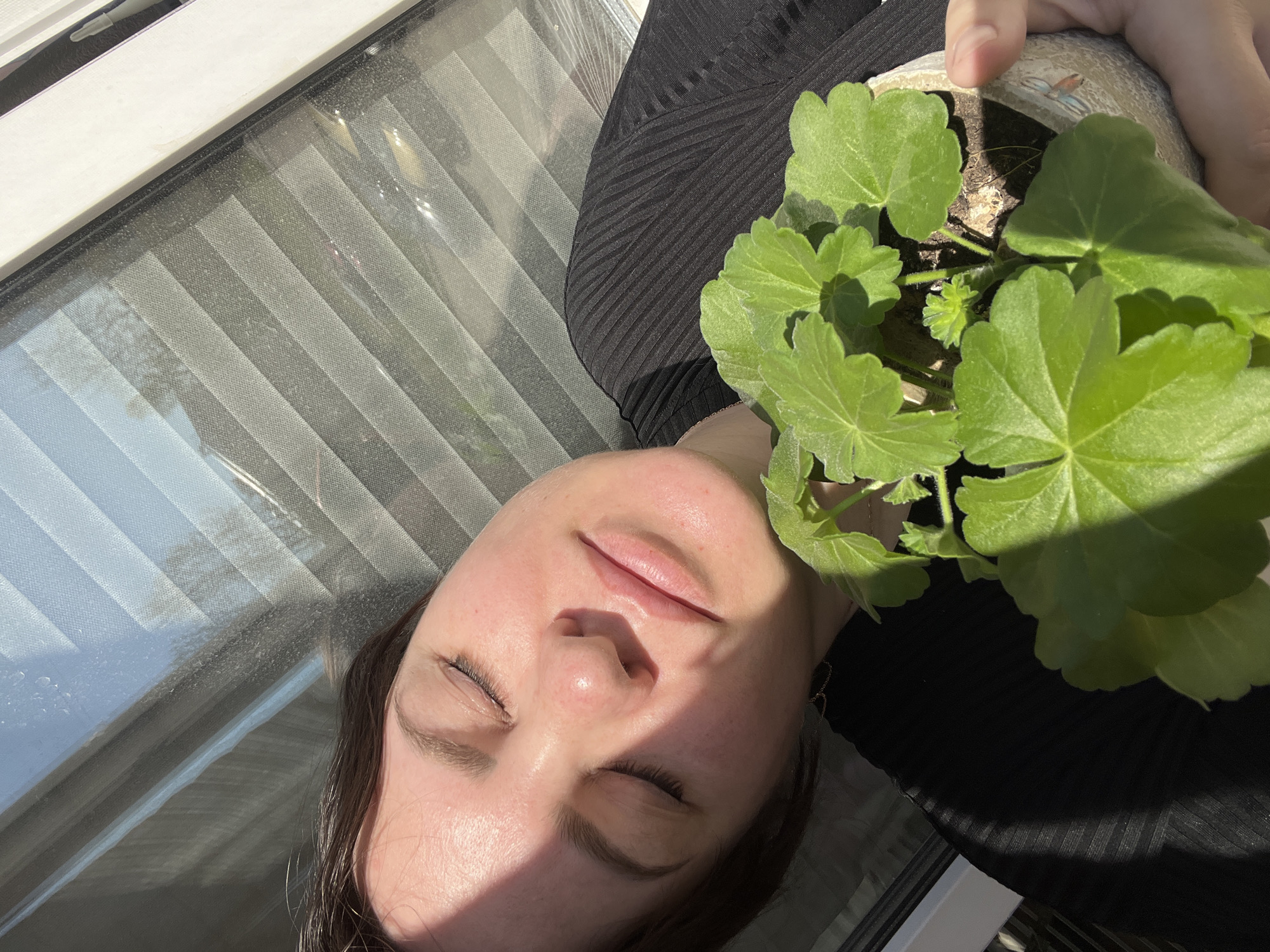 A woman with closed eyes is holding a potted plant. She is wearing a black top. The scene is indoors, near a window with blinds. The reflection of light is visible on the blinds and on her face. The location, Noviy, Russia, cannot be determined from this image.