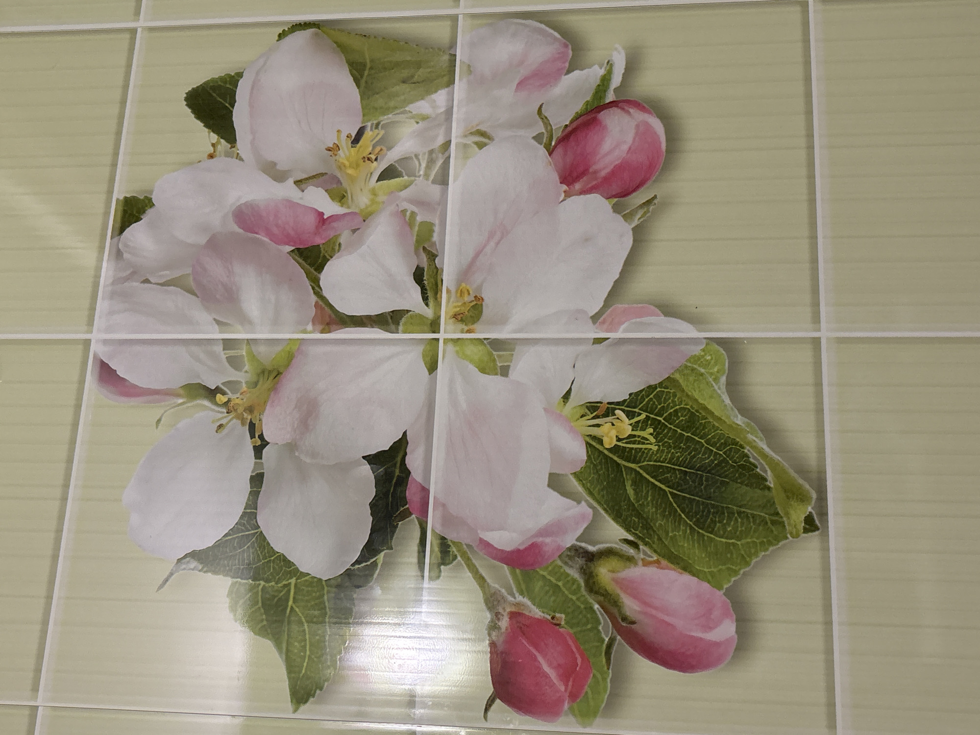 The image displays a decorative tiled surface featuring a vibrant floral design. The primary subject is a cluster of flowers, likely apple blossoms, characterized by delicate white petals with soft pink accents and prominent yellow stamens. Several unopened flower buds, distinctively pink, are also visible, nestled among rich green leaves with discernible vein patterns.
The floral motif is seamlessly integrated across multiple light green tiles, creating a larger composite image. White grout lines divide the overall design into a grid of squares, indicating that the image is either printed directly onto the tiles or applied as a decal spanning across them. The light green tiles themselves possess a subtle horizontal striped texture.
No specific activity or event is taking place; the image is a static portrayal of a decorative element. The lighting is bright and even, suggesting an indoor setting or a well-lit environment without harsh shadows. The perspective is a direct, slightly overhead view of the tiled surface. The presence of tiles strongly suggests an interior location such as a bathroom or kitchen. There is no visible text in the image.