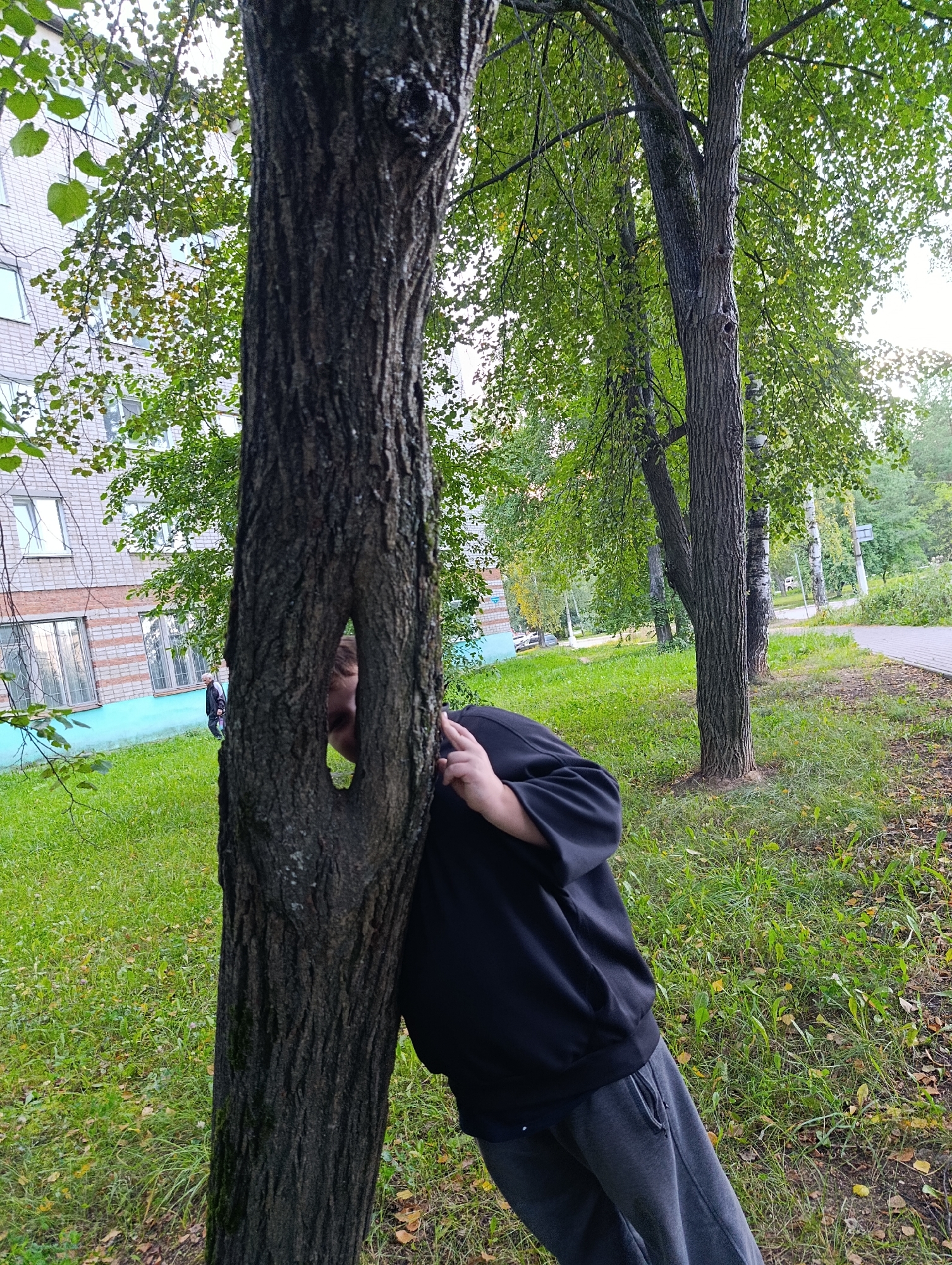 The image depicts an outdoor scene likely in the city of Chaikovsky, Russia, with a person partially visible behind a tree trunk that has a large, irregularly shaped hole in it. The person, wearing a black hooded sweatshirt and grey sweatpants, is peeking through the hole, with their face and one hand visible. The tree is rough-barked and appears to be mature, with green leaves overhead. Behind the tree, a multi-story brick building with windows is visible, suggesting an urban or semi-urban environment. The ground is covered in green grass with some fallen leaves. A paved walkway runs along the right side of the frame, bordered by more trees and vegetation. The overall lighting suggests it is daytime, possibly overcast. The context implies a casual or playful moment, with the person using the tree as a hiding spot or for observation.