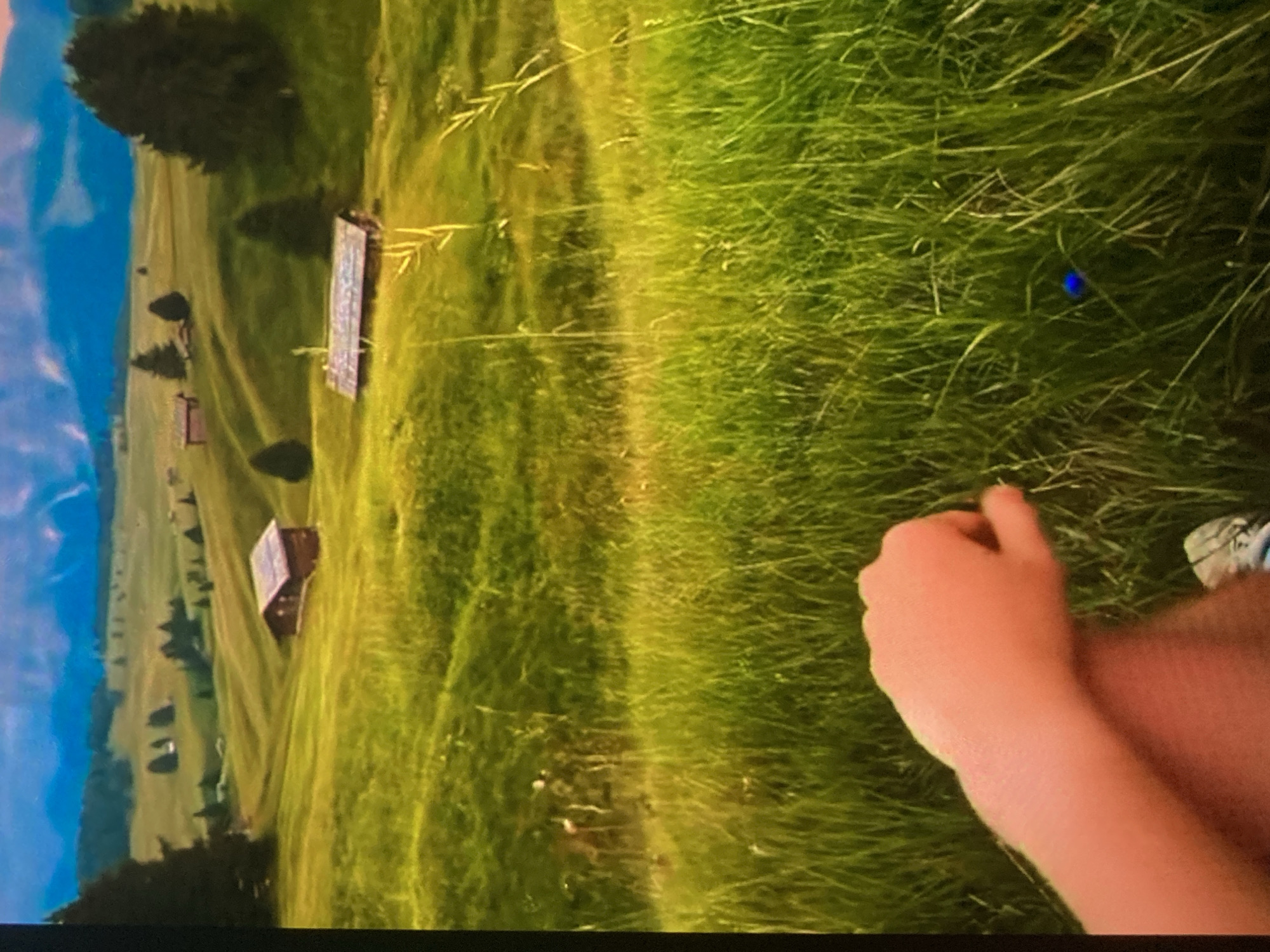 The image shows a scenic landscape with rolling green hills, scattered trees, and several small wooden buildings. In the foreground, a human arm and hand are visible, with the hand resting in the tall grass. The overall impression is one of a rural or mountainous environment, possibly a meadow or pasture. There is no discernible information within the image to suggest the location is Ustyvytsia, Ukraine.