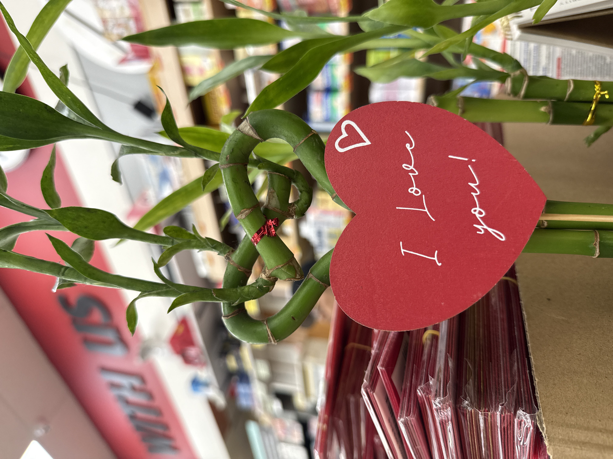 A photograph taken indoors in Davie, Florida, United States of America, shows a bamboo plant with a red heart-shaped tag that reads "I love you!" The plant's stems are green and twisted into a decorative shape, with leafy green sprouts at the top. A red metallic twist tie is wrapped around one section of the stem. The tag is attached to the straight portion of the plant and is surrounded by packaged sticks, possibly incense or skewers. The background is blurred, but shelves stocked with various items can be seen, suggesting the location is a store.