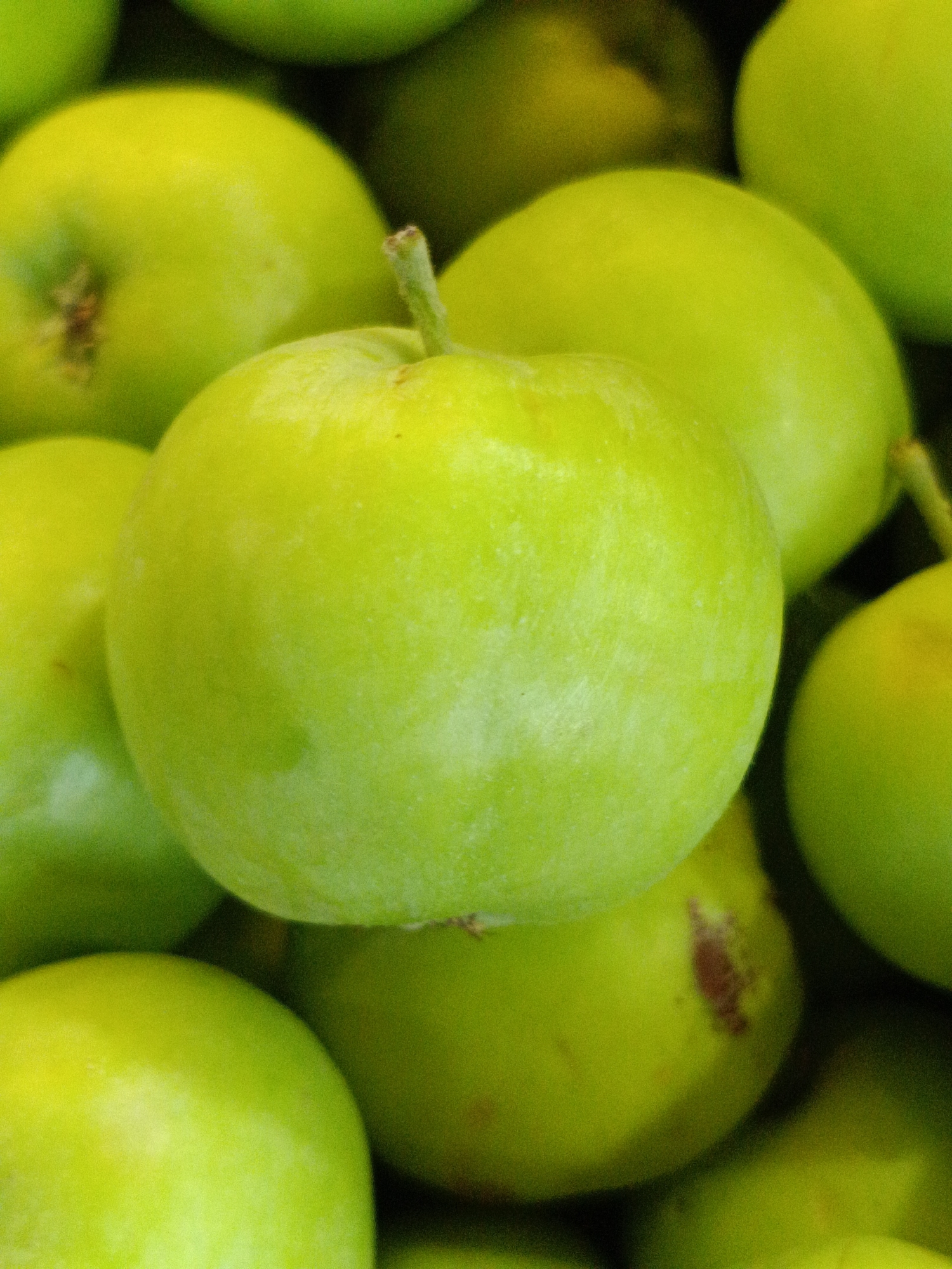The image displays a close-up view of several bright green apples, likely in a pile. The apples are predominantly round, with some variations in size and shape. Their surfaces exhibit a smooth texture with subtle variations in color, ranging from a light yellow-green to a deeper green. Some apples show minor imperfections, such as small brown blemishes. A small, fibrous stem is visible on one of the apples in the foreground. The lighting suggests it is daytime, casting soft shadows and highlighting the shiny surface of the fruit. The overall impression is one of freshness and abundance. This image was taken in Martuni, Armenia.