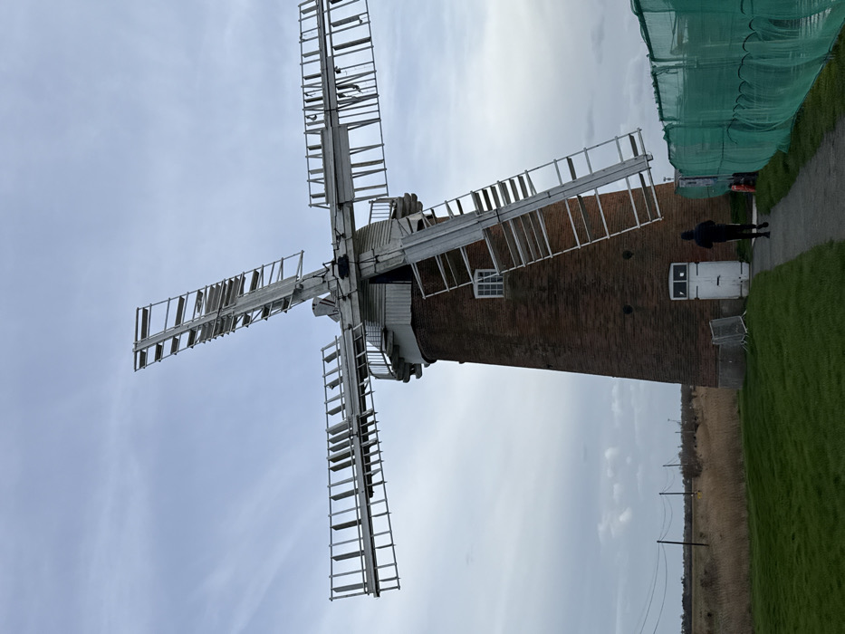 The image displays a tall brick tower windmill, situated in a rural landscape within North Norfolk, United Kingdom, under an overcast sky. The windmill is constructed of reddish-brown brick, topped with a white cap and a surrounding gallery. Four white wooden sails, or sweeps, extend from the cap, with several of their horizontal slats appearing damaged or missing. A white rectangular wooden door is located at the base of the mill, and a single white-framed window is visible on a higher floor. A lone individual, dressed in dark attire, walks on a gravel path leading towards the windmill's door. To the left of the path, a manicured green lawn transitions into a vast field of dry, light-brown reeds or long grass, with utility poles and overhead lines visible in the distance. To the right of the path, a green mesh safety or construction fence runs parallel, receding into the background. Small, metallic barriers are positioned on the grass near the windmill's base, adjacent to the path.