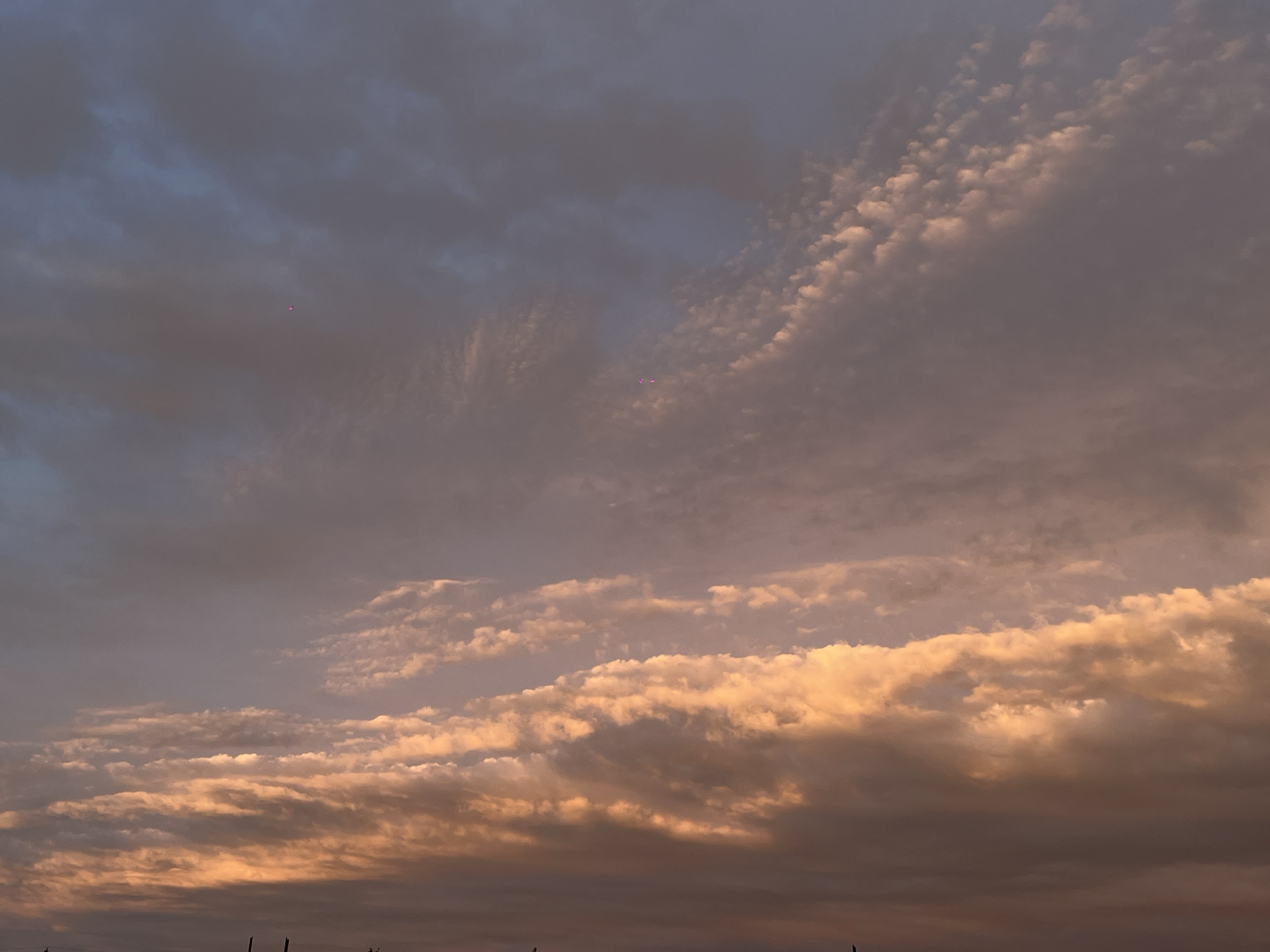 The image depicts a sky filled with clouds in varying shades of gray, pink, and orange, possibly at sunset or sunrise. Two very small red dots are visible in the top left quadrant of the image. The bottom edge of the frame shows indistinct silhouettes, likely vegetation or structures. The location is specified as Novopokrovskaya, Russia, but there are no visual cues to confirm this detail within the image itself.