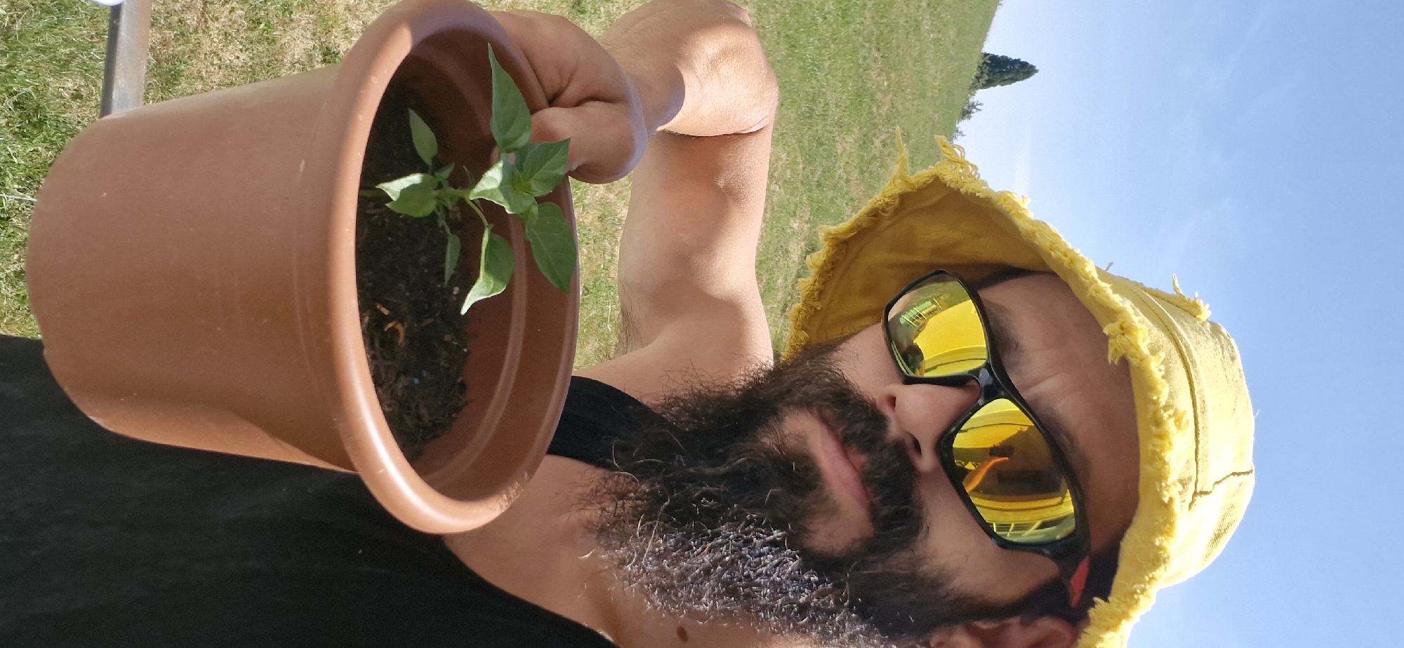 A man wearing a yellow bucket hat and sunglasses holds a small potted plant in front of a grassy hillside under a clear blue sky. The sunglasses reflect the surrounding environment. The man has a beard. The potted plant has green leaves and is filled with dark soil. The scene appears to be outdoors, likely in a rural or suburban setting, given the presence of a hillside and vegetation. The image is a close-up, focusing on the man and the plant. There is no specific indication of this location being in Wattenwil, Switzerland.