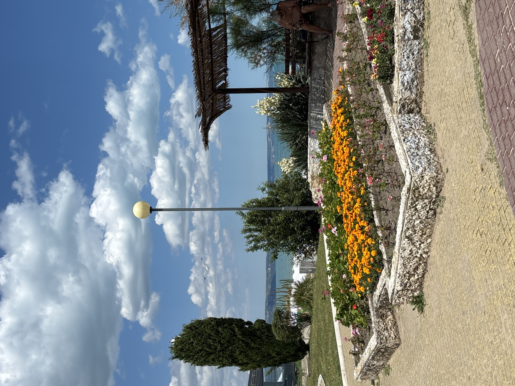 The image depicts a scenic view of the sea from a landscaped area in Varna, Bulgaria. In the foreground, a meticulously maintained flowerbed brimming with vibrant orange and pink blossoms sits within a stone border. To the right, a straw-thatched shaded structure provides seating, where a lone individual, appearing to be a man with gray hair, is seated on a bench, looking downwards. A tall, slender evergreen tree stands prominently to the left, contrasting with the broader foliage of other plants. Beyond these elements, the turquoise sea stretches towards a distant, hazy coastline under a sky filled with fluffy white clouds. A seagull is captured mid-flight against the blue expanse. The paved walkway in the foreground transitions from a yellowish-tan brick pattern to a darker red brick pattern. The presence of a lamppost suggests this is a public area, likely a park or promenade.