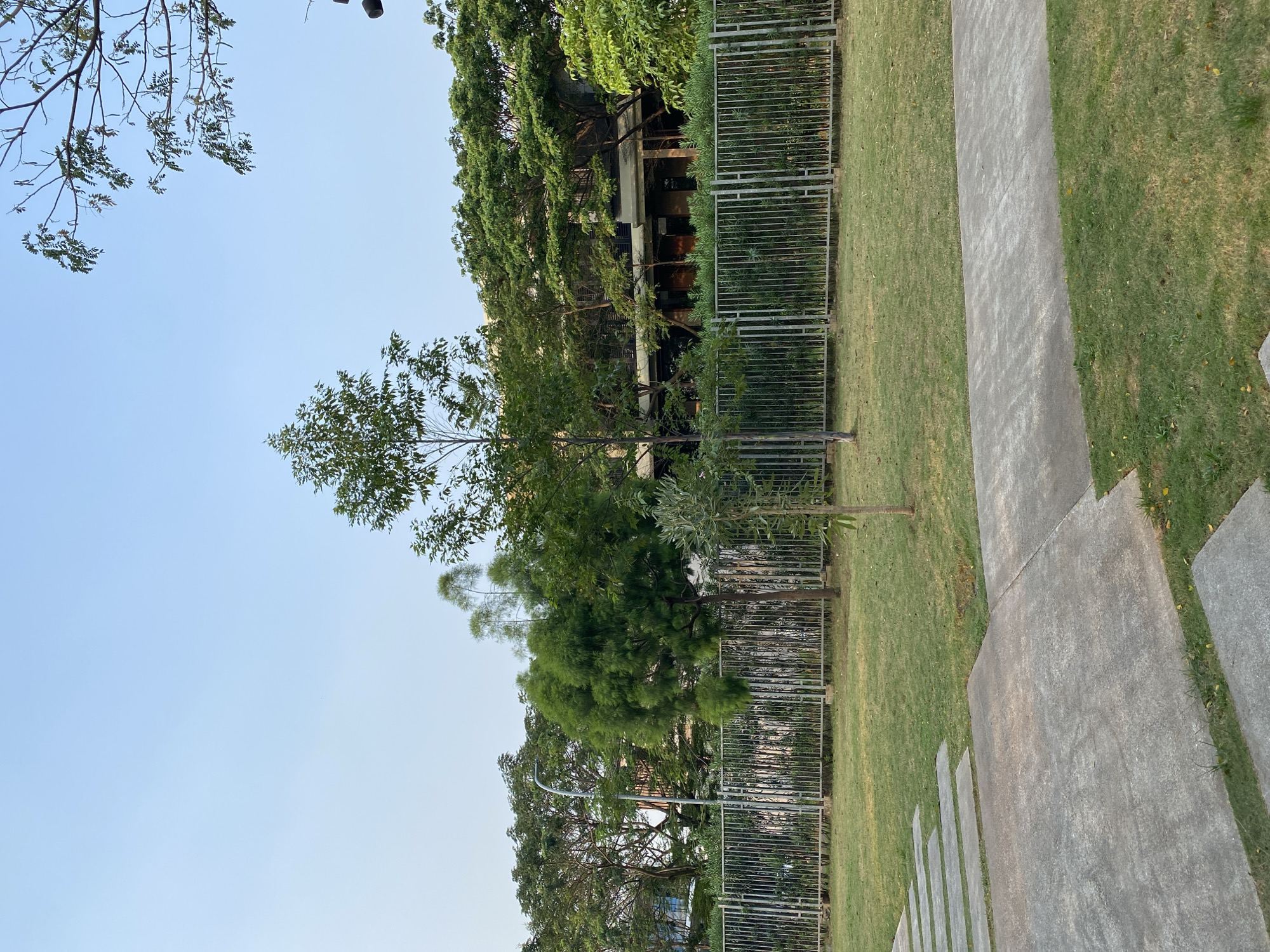 This is an outdoor scene in North Jakarta, Indonesia, featuring a park area with a modern building in the background. The foreground displays a paved pathway made of concrete slabs and a wider concrete path. Beyond this, a well-maintained grassy lawn extends towards a metal fence. Behind the fence, various trees are visible, with a larger, modern building with visible windows and balconies peeking through the foliage. The sky is clear and light blue, indicating daytime. There are no people or animals visible in the frame.