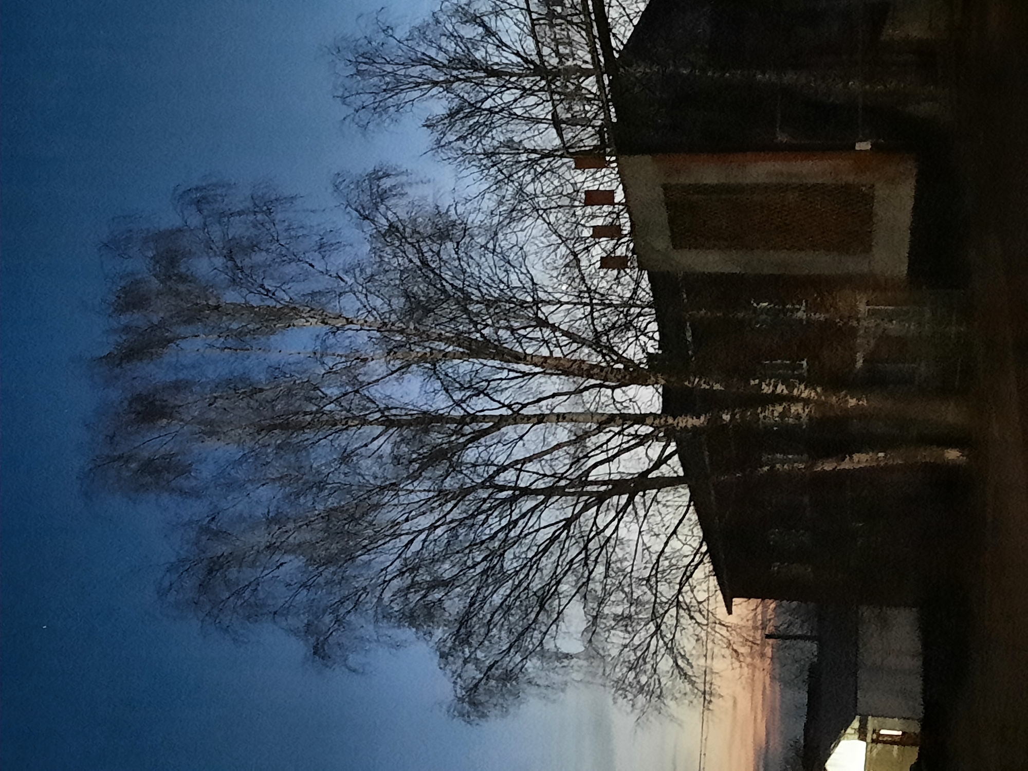 The image, when viewed in its correct upright orientation, captures an outdoor scene at either dawn or dusk, set in Krasnogorskoye, Russia. A large, bare deciduous tree, its intricate network of branches clearly visible and silhouetted against the sky, dominates the left and central portions of the frame. Its sturdy trunk and numerous twigs create a complex pattern.
To the right, a dark, multi-story building is partially visible, its structure appearing functional rather than decorative. Rectangular details, possibly windows or vents with reddish-brown frames or surrounds, are discernible on its facade, particularly in the upper section.
The sky forms the background, displaying a gradual transition in color. It is a deep, rich blue at the top and left, fading into lighter hues of pale blue and hints of orange or soft yellow towards the bottom right, strongly indicating either early morning or late evening light. The sky is clear, with no clouds present.
There are no people or specific activities depicted in the static scene. No visible text is present within the image. The overall impression is one of quietude and stillness in a natural and architectural setting during twilight hours.