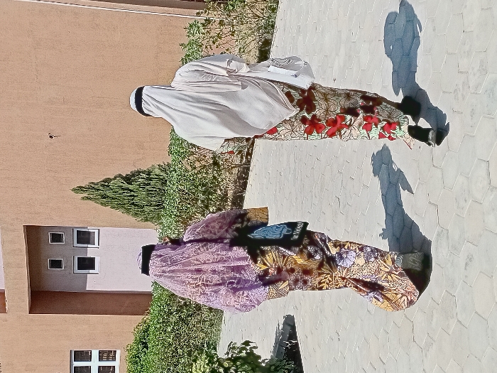 Two individuals walk away from the camera on a grey hexagonal paver walkway in the city of Kwazailewa, Nigeria. The person on the left wears a long, multi-colored patterned dress, a dark headpiece covered by a sheer purple patterned veil, and dark shoes, carrying a dark bag on their left side. The person on the right wears a light-colored draped head covering, a long skirt with a light background and red floral patterns, and dark shoes, carrying a white tote bag on their left arm. Distinct shadows are cast on the ground to their right, indicating bright sunlight from the upper left. The background features a line of green bushes and a slender coniferous tree. Behind the vegetation, a building with light brown walls is visible, displaying a white-framed multi-paned window on the left and a recessed section with four smaller square windows.