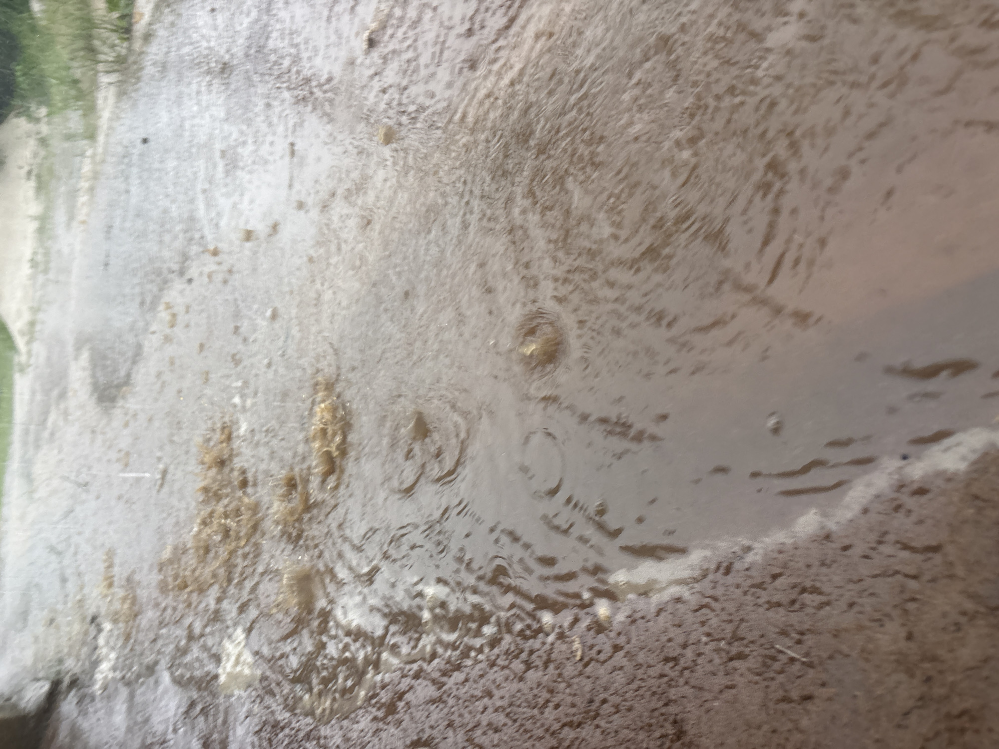 The image depicts a rain puddle on a concrete surface. Small pebbles and debris are scattered within the puddle and along its edges. Ripples are visible in the water, suggesting recent rainfall. The overall color is a muted gray-brown. There is no indication of a location in Ikot Ekpene, Nigeria, or any people, actions, or interactions in the image.