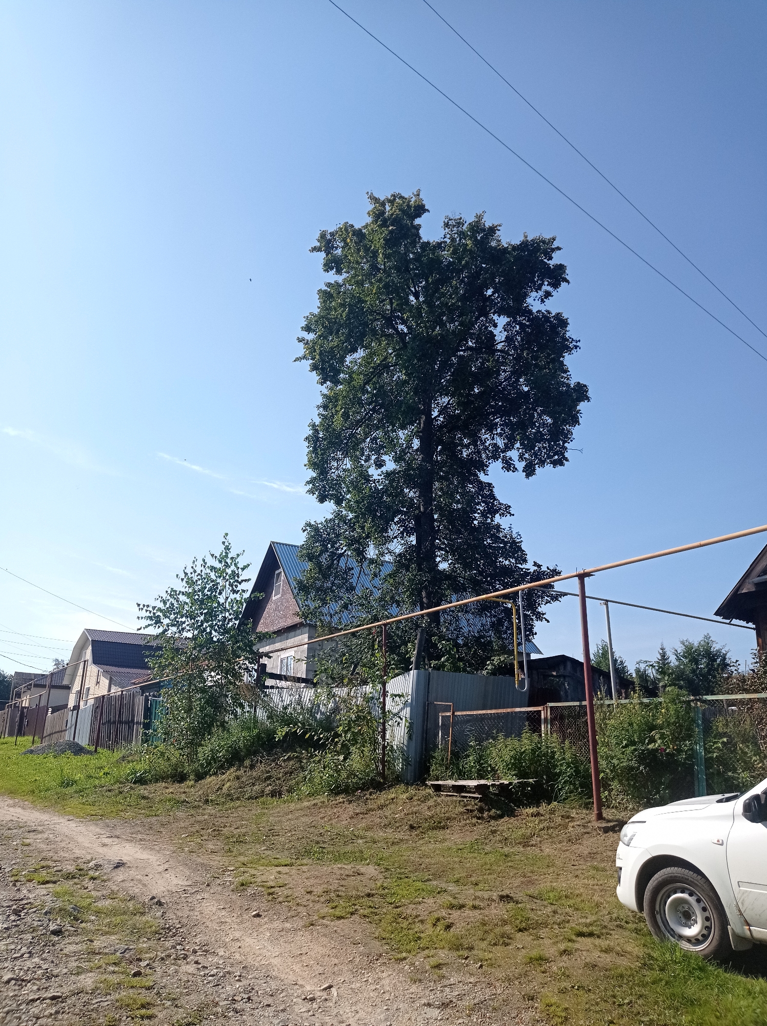 The image depicts a rural scene with several houses and a large tree under a clear blue sky. A dirt road is in the foreground, with a white car parked on the right side of the frame. The houses appear to be in various states of construction or repair, with some featuring metal roofs. The vegetation is lush, with trees and bushes growing around the properties. Power lines are visible crisscrossing the sky. The setting suggests a residential area in a rural or suburban part of Degtyarsk, Russia.