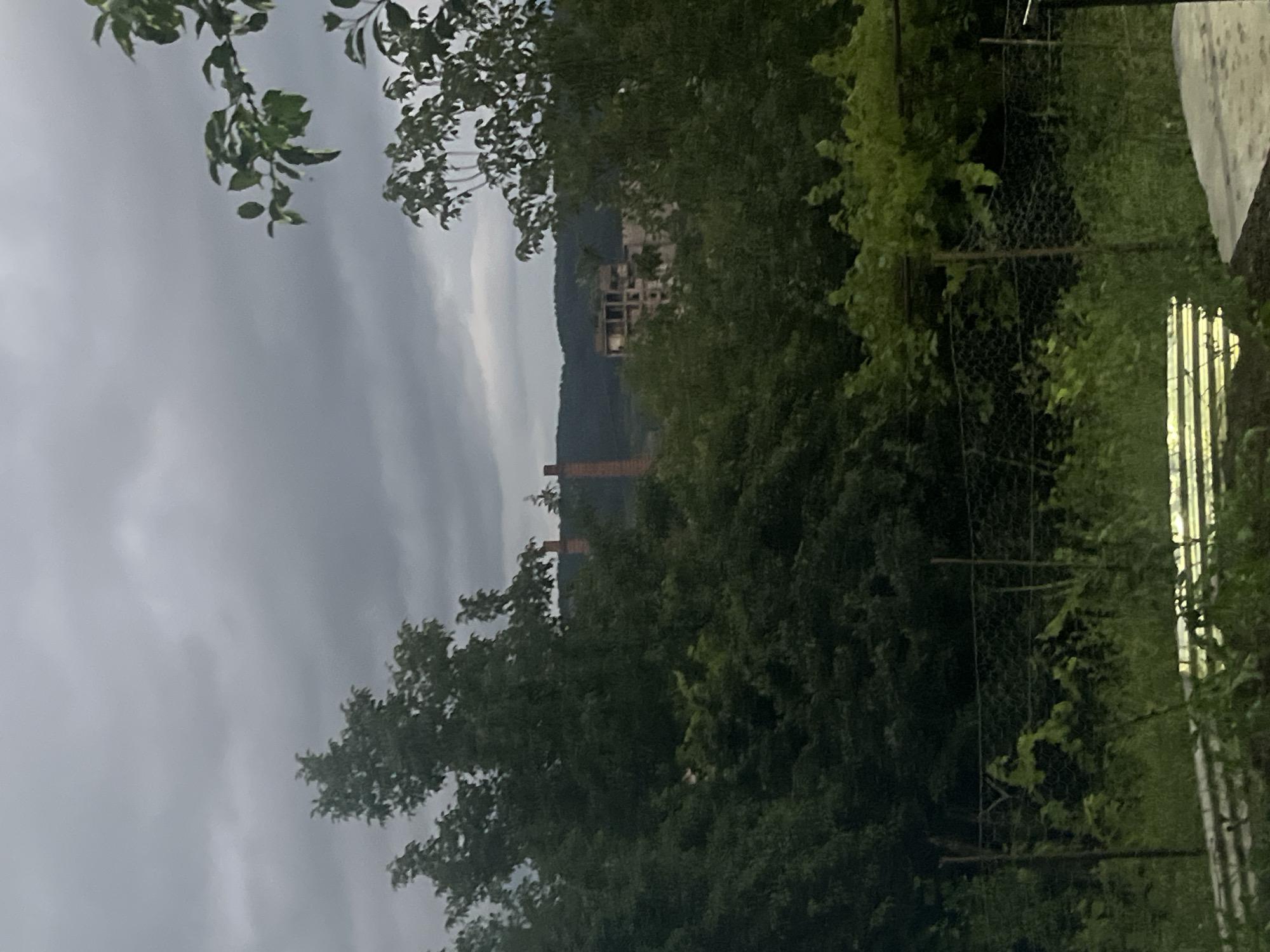 The image captures an overcast sky above a landscape with abundant greenery. In the mid-ground, an unfinished concrete building is visible, partially obscured by trees, along with a tall brick chimney. The foreground features a wire fence and dense vegetation, with some corrugated metal sheeting present on the ground. The scene appears to be in a semi-rural or industrial outskirts area.