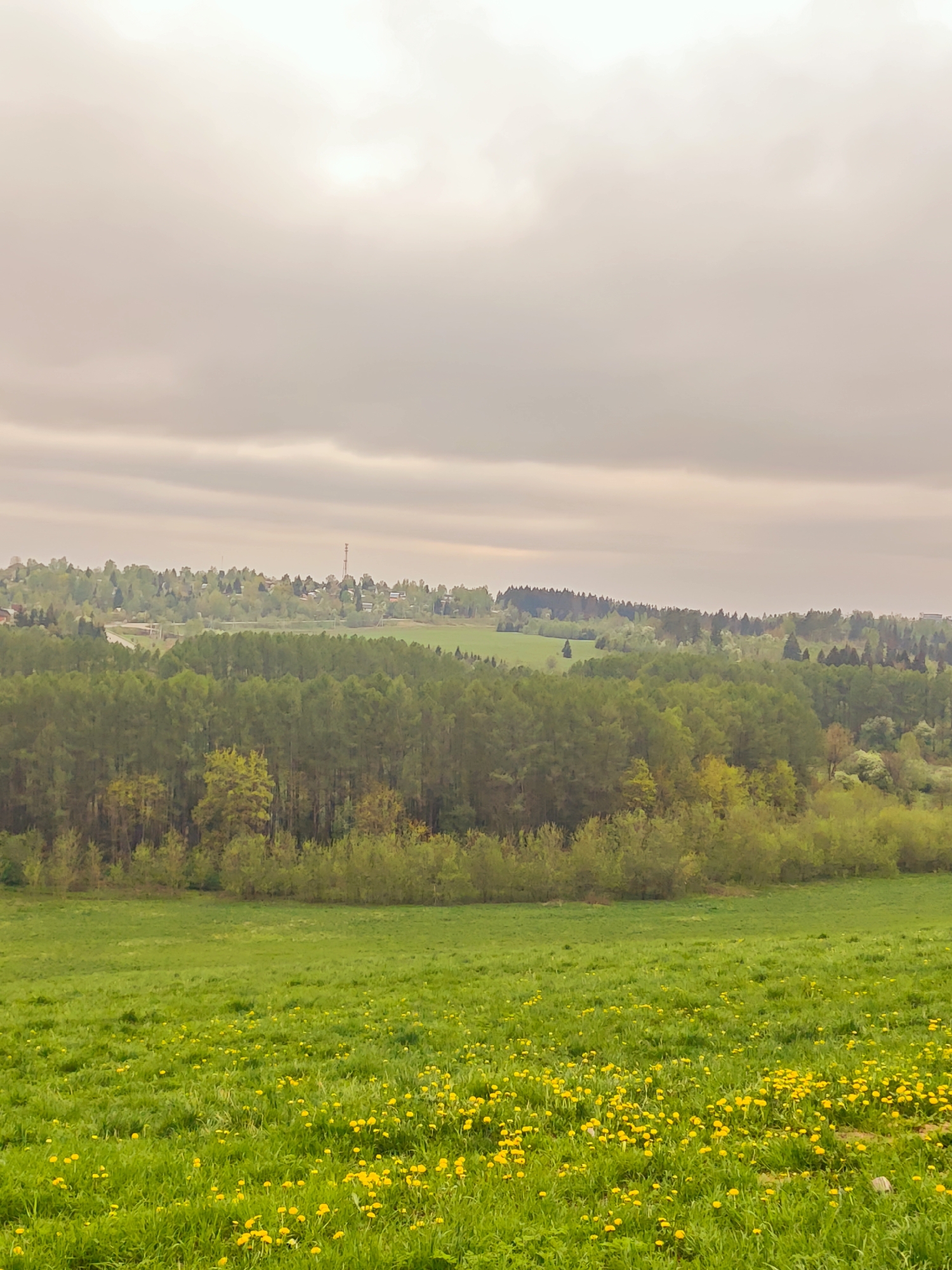 The image depicts a rural landscape in Ильинское, Russia, under an overcast sky. In the foreground, a vibrant green field is dotted with yellow dandelions. A dense forest line separates the field from the distant horizon. In the background, there's a settlement visible, including buildings and a communication tower. The overall scene conveys a sense of tranquility and is characteristic of a countryside environment.