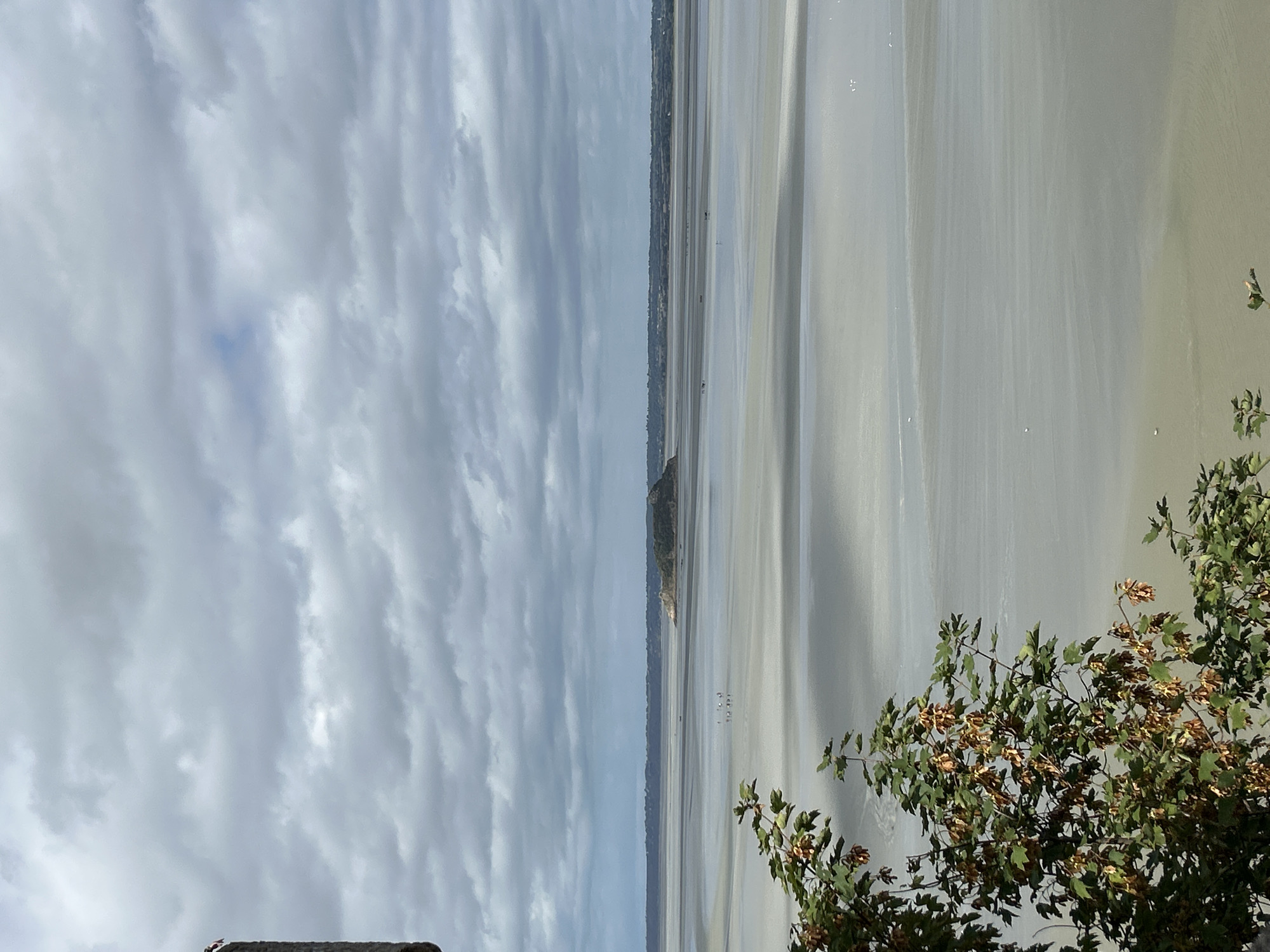 An outdoor, eye-level, long shot captures a vast expanse of water at low tide under a cloudy sky. The water is a muted grey with gentle ripples and reflects the cloudy sky above. In the distance, a small, rocky island with some vegetation rises from the water. The shoreline stretches across the horizon, a thin line of land with hints of trees and structures. In the foreground, to the left, the top of a stone structure is visible, and below it, the branches of a tree with green leaves and seed pods hang into the frame. A few small white birds are scattered across the water.