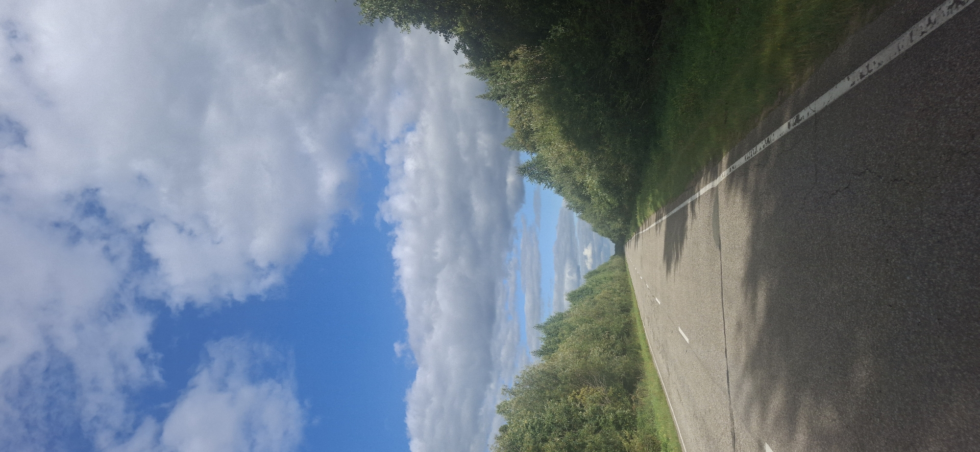 The image is a vertical, eye-level shot of a two-lane asphalt road that recedes into the distance, bordered by lush green trees on either side. The road has white dashed lines marking the lanes and a solid white line along the right shoulder. Sunlight casts dappled shadows on the road surface. The sky above is a bright blue with scattered white, puffy clouds. The scene appears to be in a rural or suburban area, possibly a highway or a main road in a wooded region. There are no people or vehicles visible in the frame. The overall impression is one of a peaceful, sunny day on an open road.