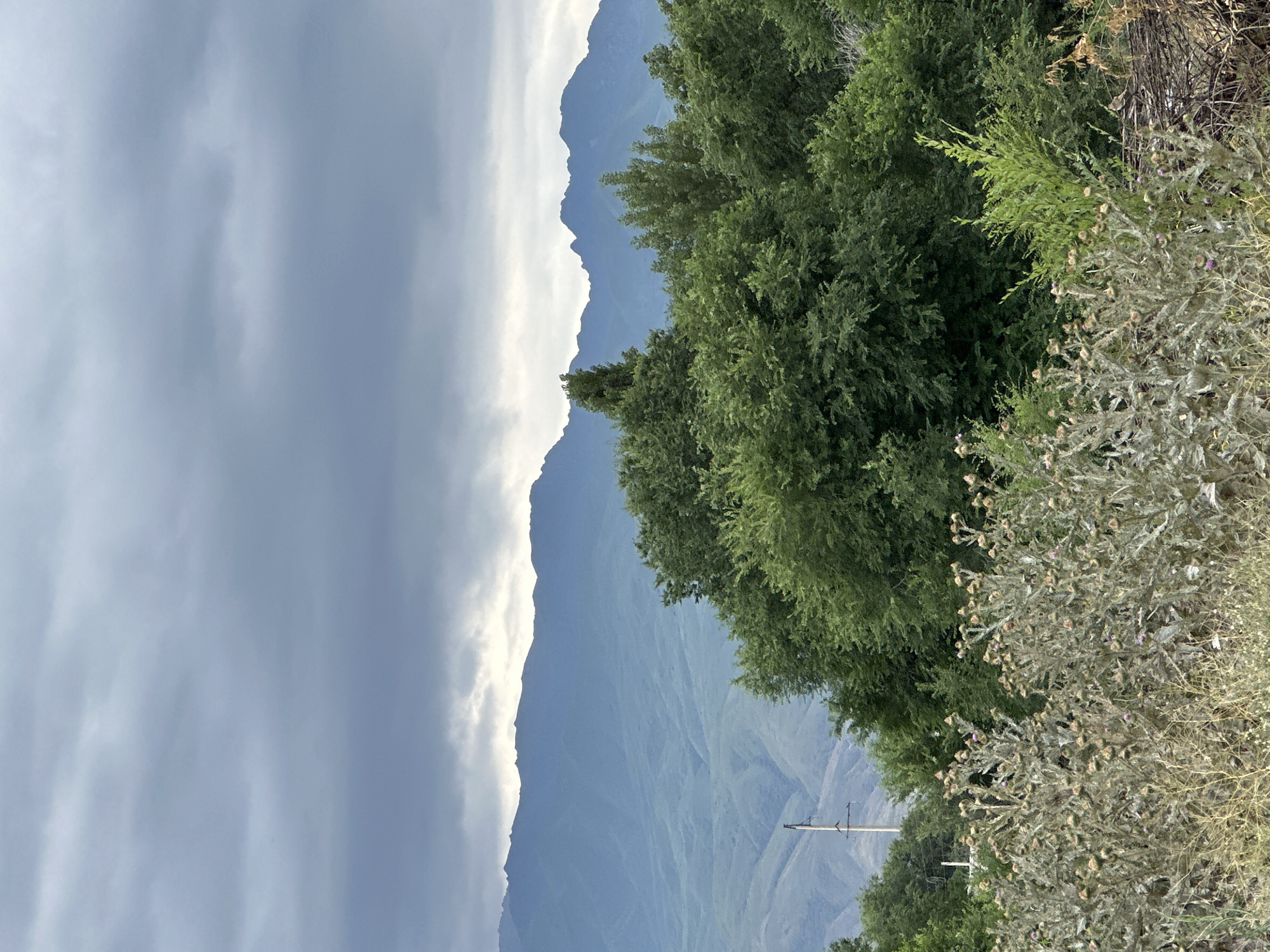 This is a vertical, landscape photograph of a mountain range under a cloudy sky. The foreground features lush green trees on the right and dry, thistle-like plants. The middle ground shows the hazy blue slopes of a mountain range. A power line pole is visible in the lower middle portion of the image. The sky is filled with heavy, grey clouds, suggesting a potential for rain or a storm. The overall scene evokes a sense of natural grandeur and perhaps a touch of isolation, common in mountainous regions. The time of day appears to be daytime, with diffused light indicating overcast conditions. The location is specified as Sarymoldayev rural district in Kazakhstan. No people or text are visible in the image.
