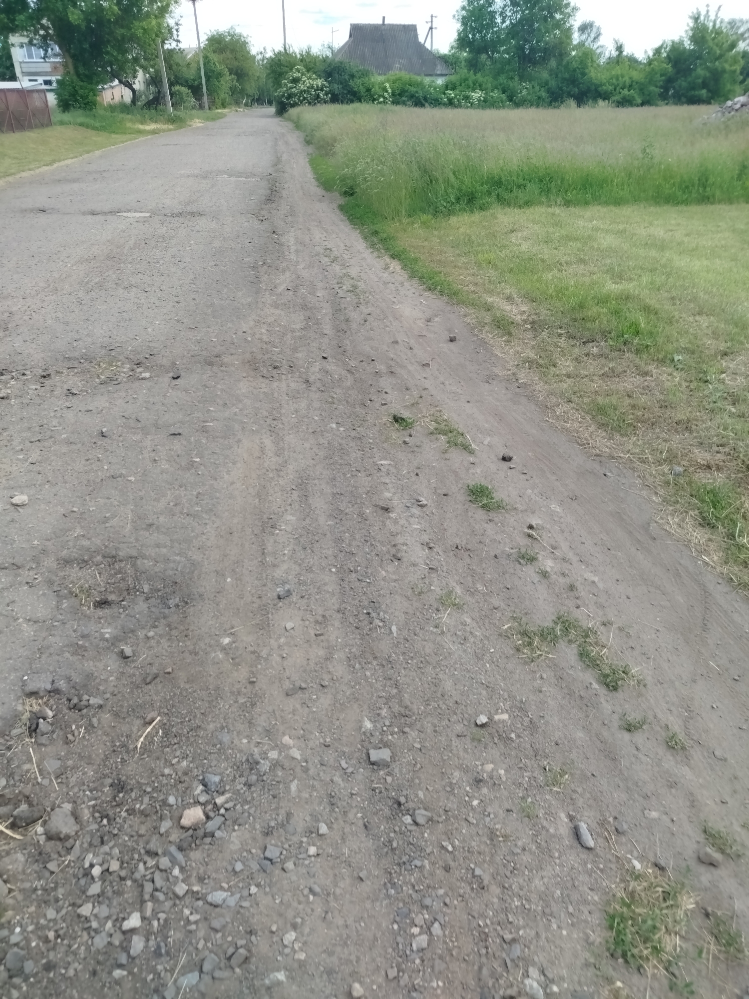The image depicts a quiet, unpaved dirt and gravel road in Ustyvytsia, Ukraine, under what appears to be an overcast or partly cloudy daytime sky. The road, characterized by its rough surface of loose stones, dirt, and occasional patches of sparse grass and weeds, stretches into the distance, subtly curving to the right.
To the right of the road lies a wide expanse of overgrown, tall green and light brown grass, indicative of a rural or natural setting. A line of trees forms the backdrop for this field, with the roof of a house partially visible behind them. On the left side of the road, the scene is less clear but hints at residential areas further down, with glimpses of buildings, fences, and more trees interspersed. Utility poles with overhead lines are also visible along the roadside, suggesting the presence of infrastructure.
The lighting is soft and diffused, with no harsh shadows, consistent with an overcast day. No individuals or animals are present, and no specific activity is taking place. There is no visible text in the image. The scene conveys a sense of stillness and the natural, unmanicured landscape typical of a rural village environment.