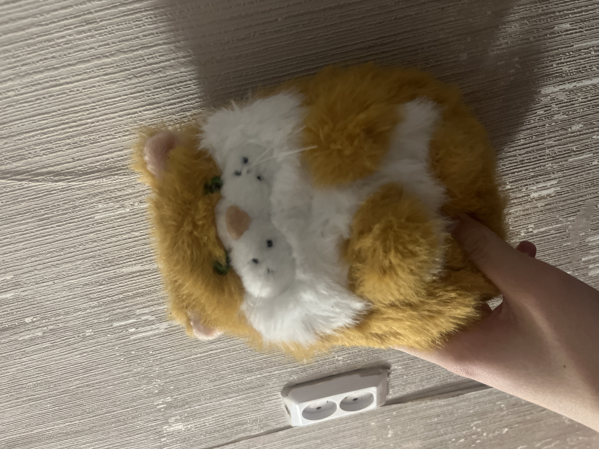 A tan and white plush toy resembling a guinea pig lies on a textured gray surface, with a hand partially visible to the right, holding the toy. A white electrical outlet with two sockets is positioned near the lower center of the image. The photo appears to be taken indoors under artificial lighting. There's no information suggesting the location is in Chaikovsky, Russia.