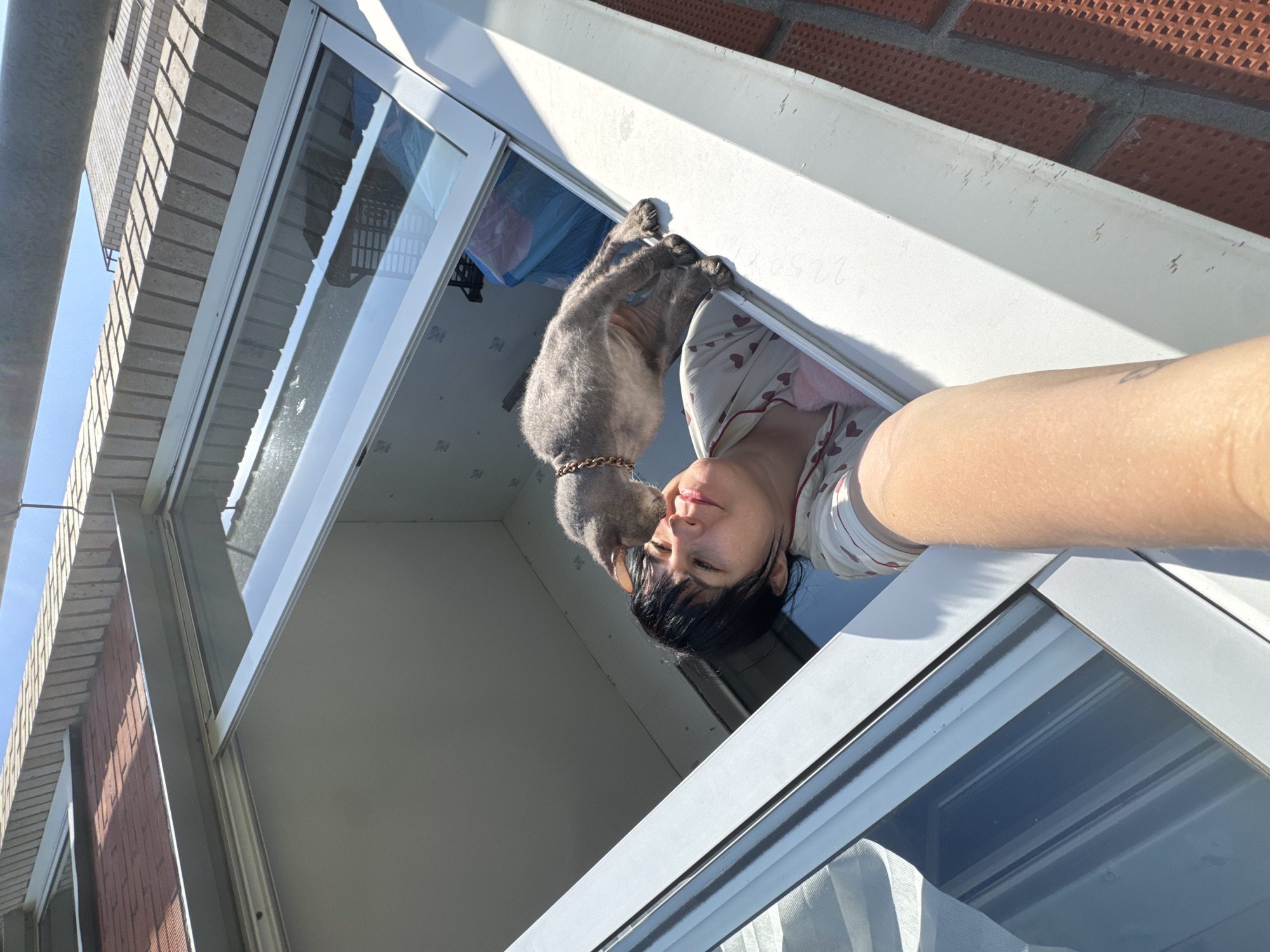 A woman is shown in a selfie photograph from an elevated perspective. She is positioned within the frame of an open window, likely on a balcony. A grey cat, wearing a gold collar, is reaching toward her face as if to kiss her. The woman has short, dark hair and is wearing a printed top. The background shows a brick building exterior and a blue sky, suggesting an outdoor setting. The window frame is white, and glimpses of what appears to be laundry drying inside the apartment can be seen through the open window. The image provides no information to verify the location in Zav'yalovo, Russia.