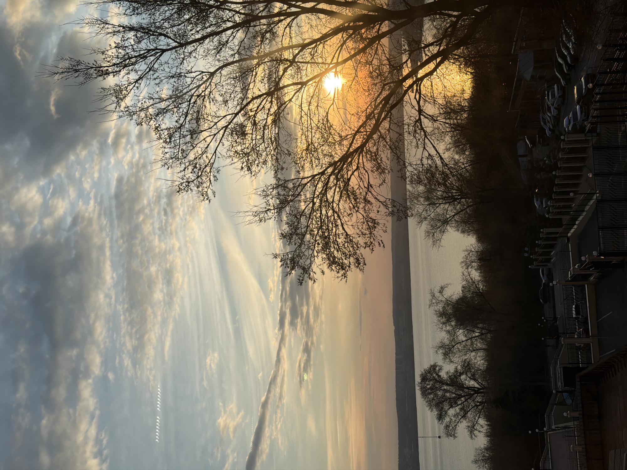 The image, when viewed horizontally, depicts a serene landscape at what appears to be either sunrise or sunset over a large body of water, consistent with Izhevsk Pond in Izhevsk, Russia.
The prominent feature is the sky, which fills the upper half of the frame. The low-lying sun, a brilliant orange orb, is situated in the upper right, partially obscured by the dense, bare branches of a large tree, creating a strong silhouette effect. Sunlight streams through the gaps in the branches, casting a warm, golden hue across the clouds and the upper atmosphere. The sky displays a variety of cloud formations, from delicate, wispy streaks of cirrus clouds stretching horizontally across the left to more textured, scattered clouds near the sun, all reflecting the warm colors of the hour.
Below the horizon, a calm body of water extends across the width of the image, appearing somewhat silvery in the ambient light. A distant, low-lying landmass or shoreline is faintly visible across the water. Along the immediate right edge of the water, more bare trees are silhouetted, blending into a darker area that reveals elements of an urban or developed area. This includes a parking lot with multiple cars parked in rows, fences, and the dark outlines of buildings, all cast in deep shadow against the slightly brighter water and sky.
The scene conveys a tranquil and contemplative atmosphere, capturing the beauty of natural light at the beginning or end of the day. No specific human activity or people are visible, and there is no discernible text within the image.